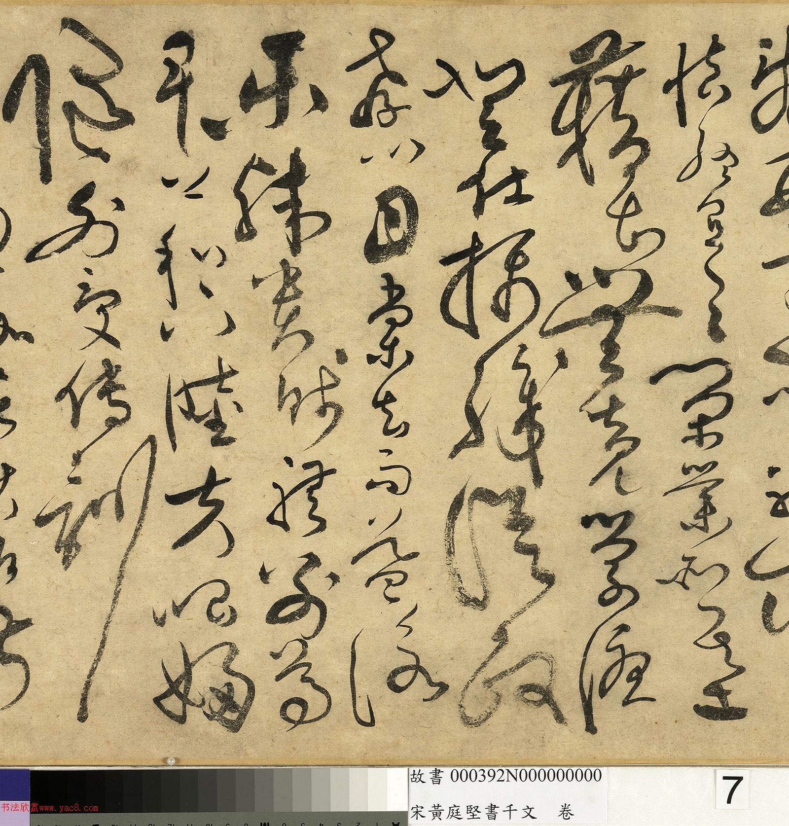 ��ͥ�����ǧ���ľ�