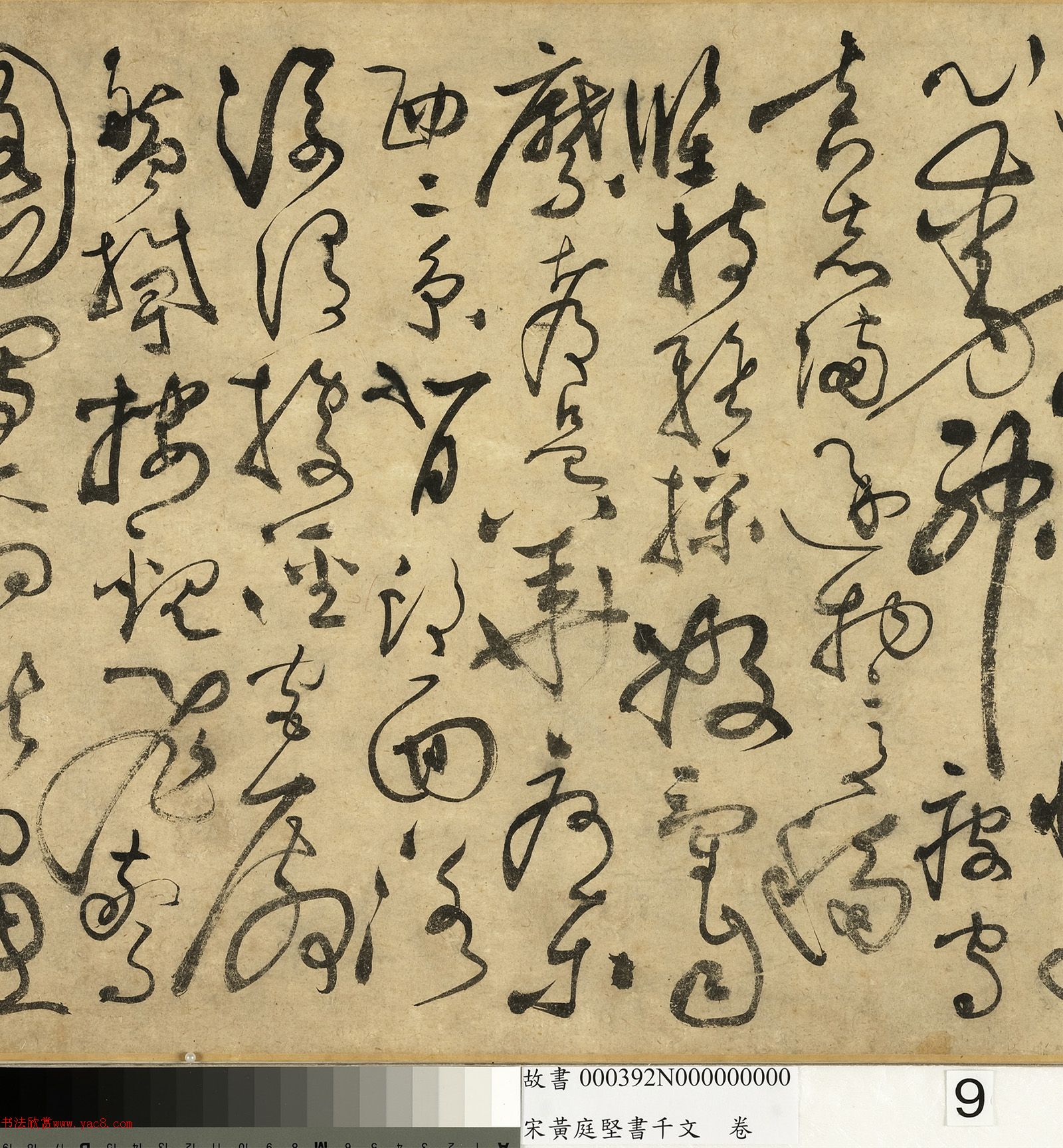 ��ͥ�����ǧ���ľ�