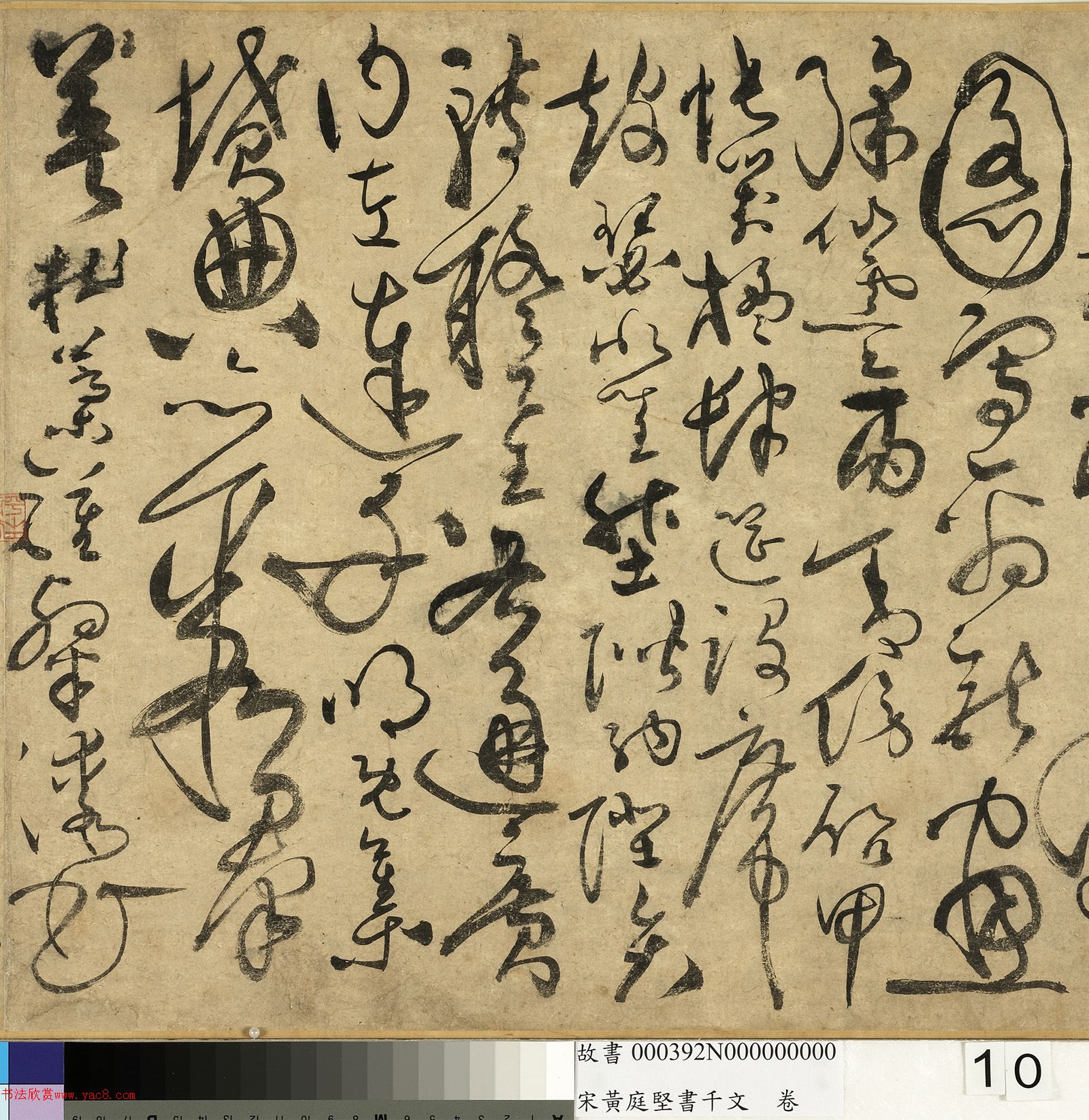 ��ͥ�����ǧ���ľ�