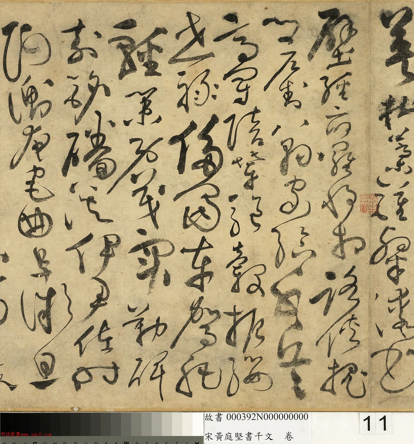 ��ͥ�����ǧ���ľ�