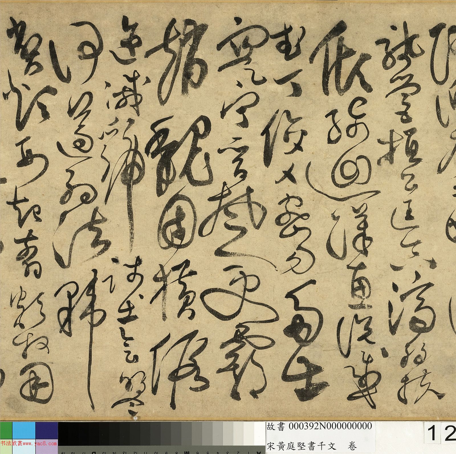 ��ͥ�����ǧ���ľ�