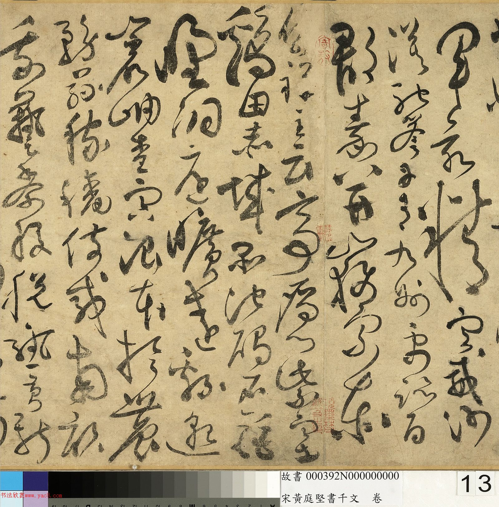 ��ͥ�����ǧ���ľ�