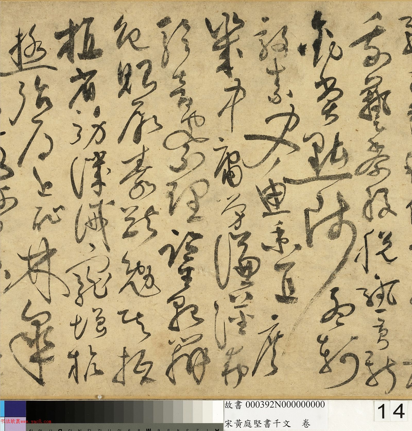 ��ͥ�����ǧ���ľ�