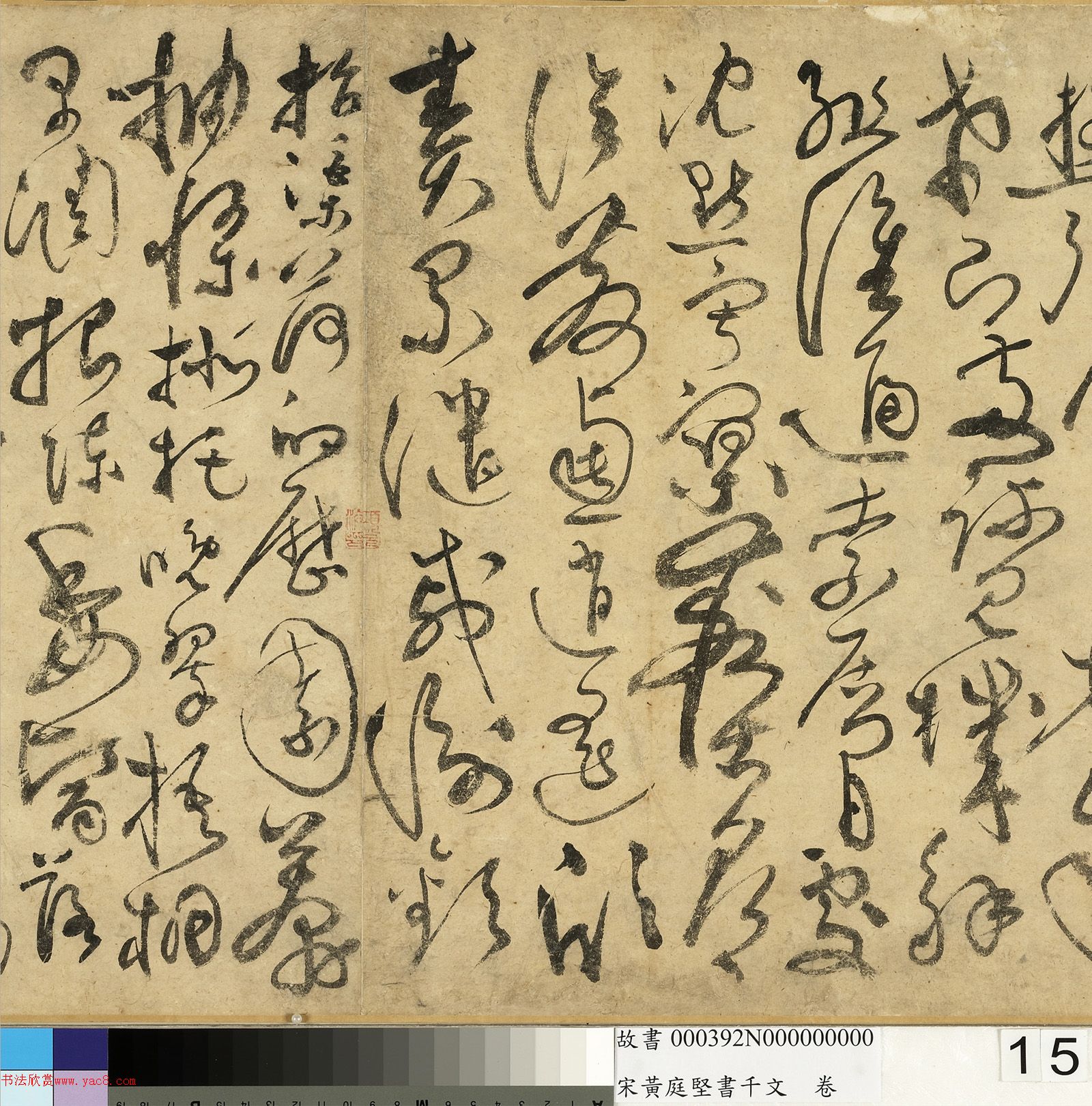 ��ͥ�����ǧ���ľ�