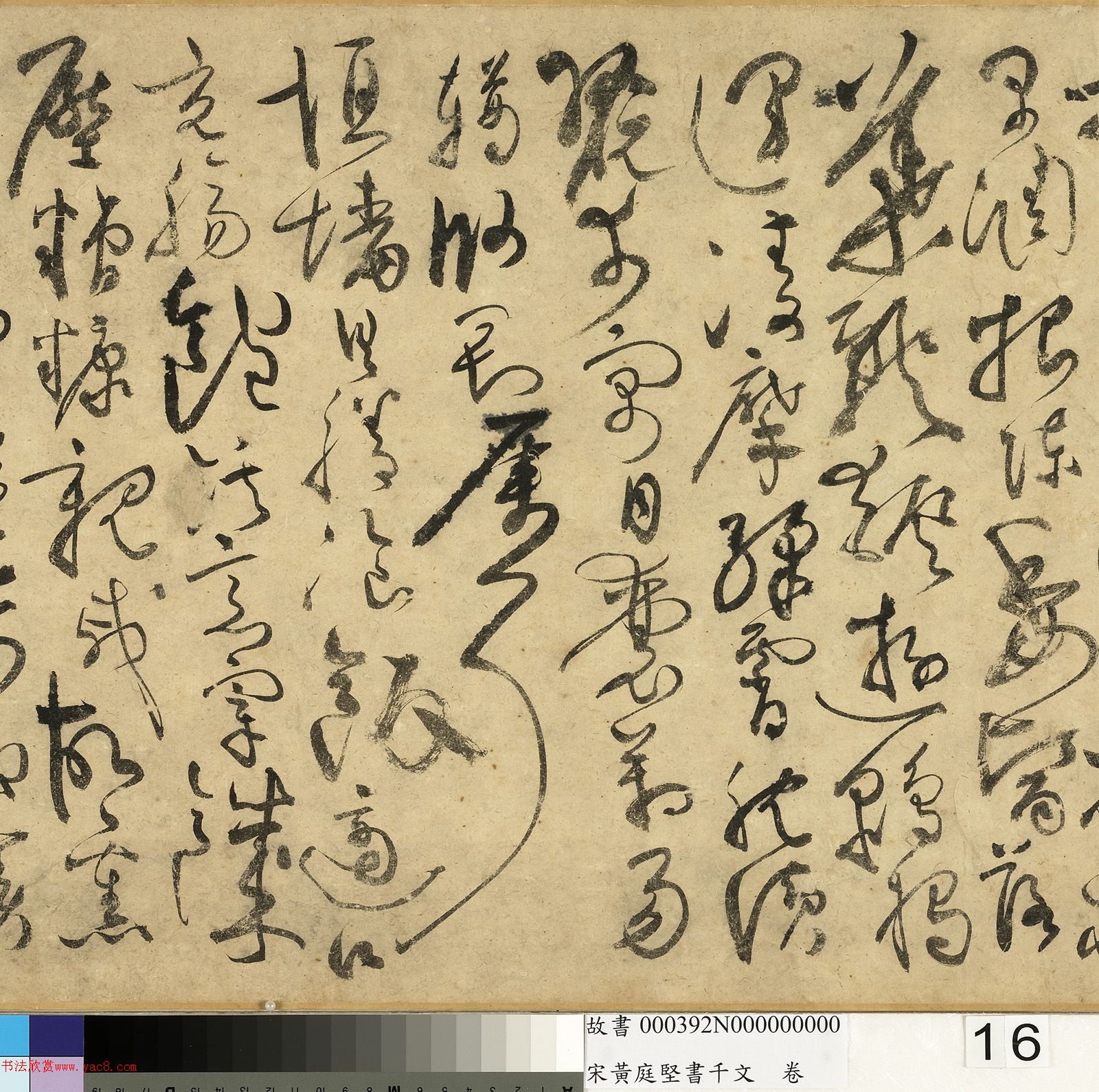 ��ͥ�����ǧ���ľ�