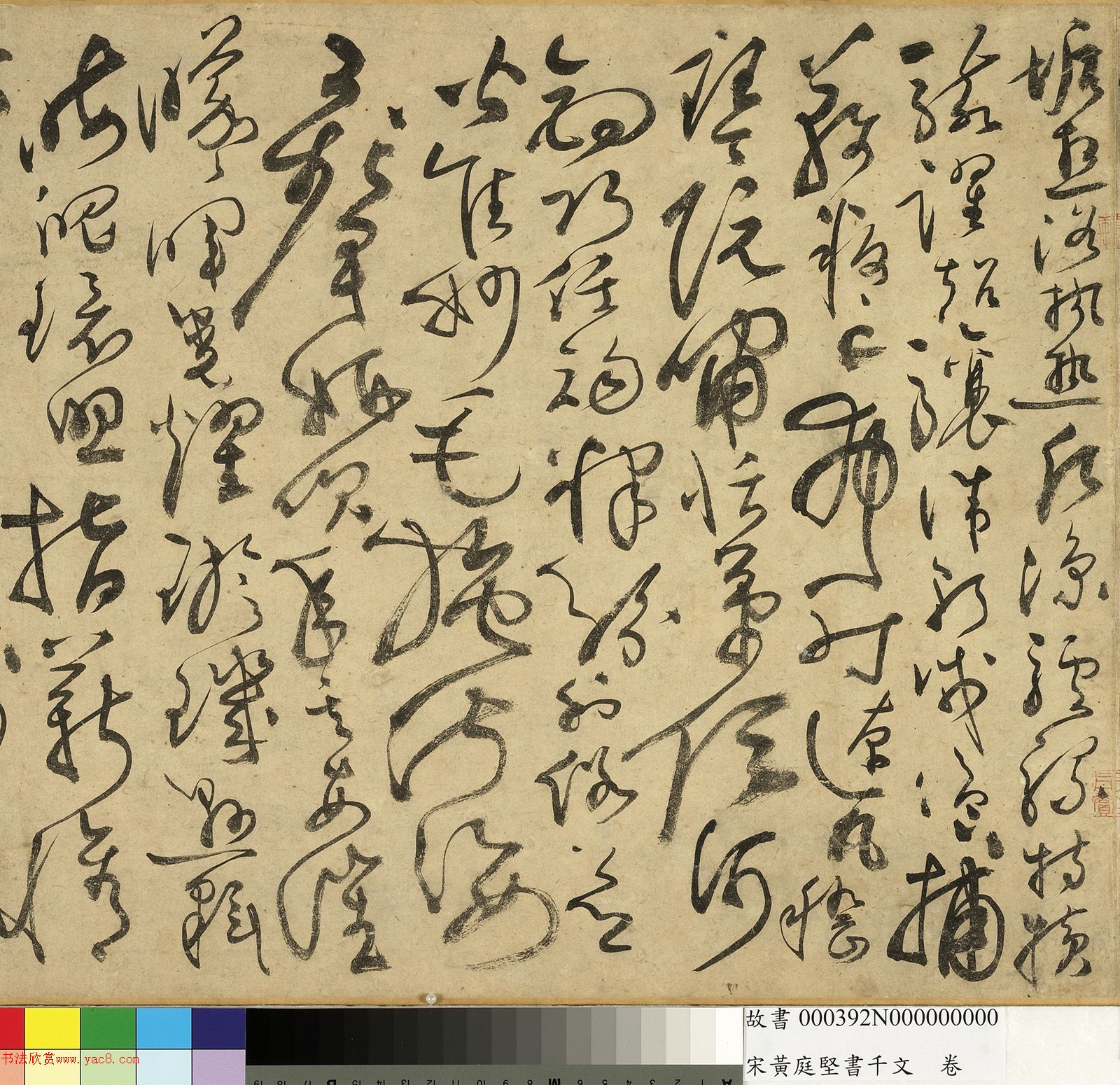 ��ͥ�����ǧ���ľ�