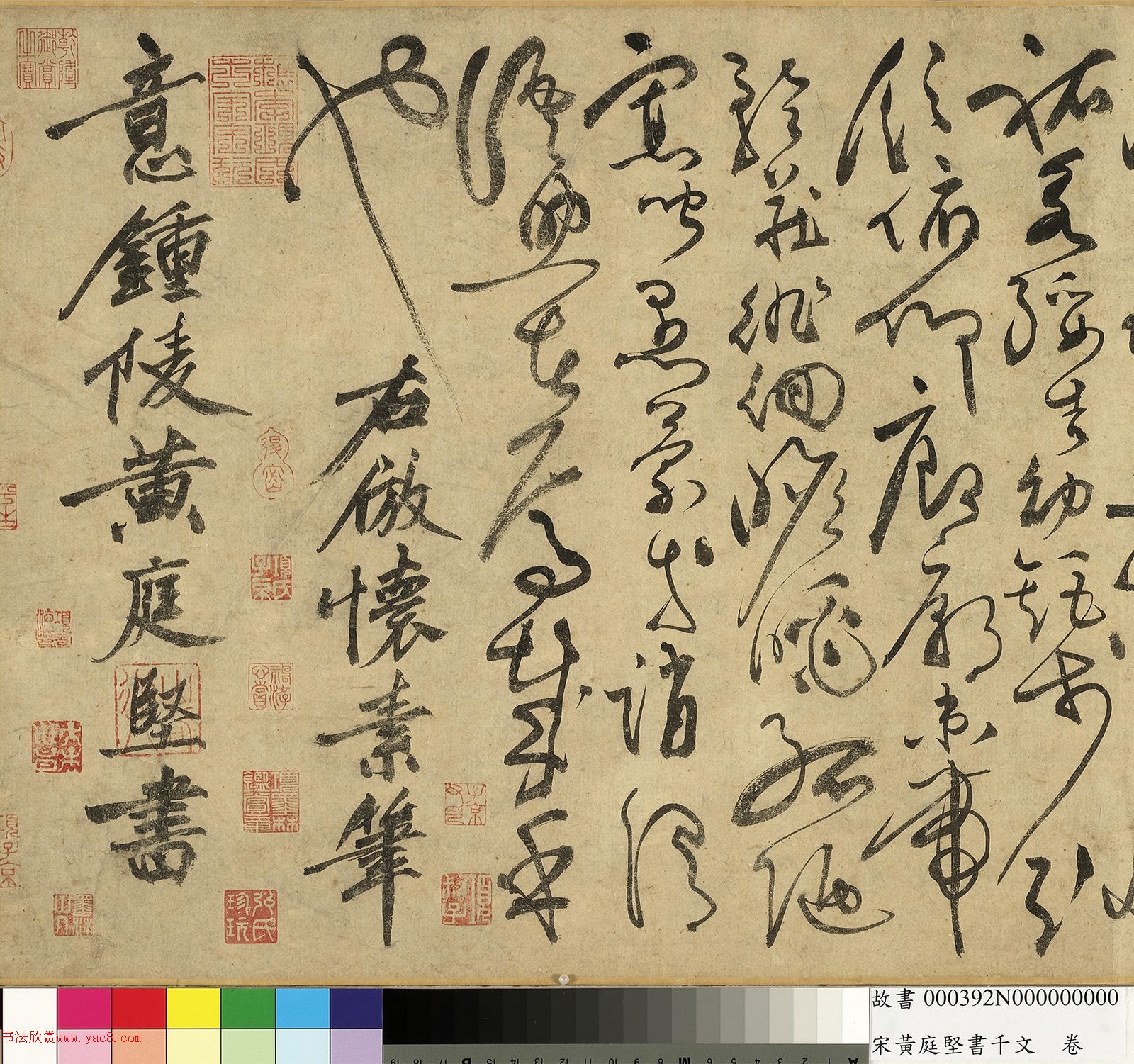 ��ͥ�����ǧ���ľ�