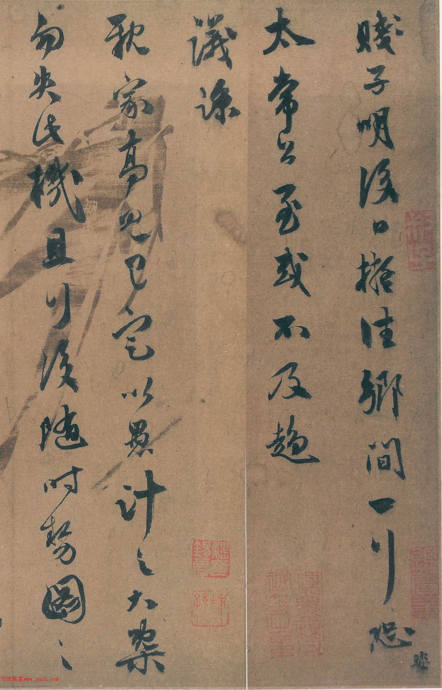 ף�����в��顶������������