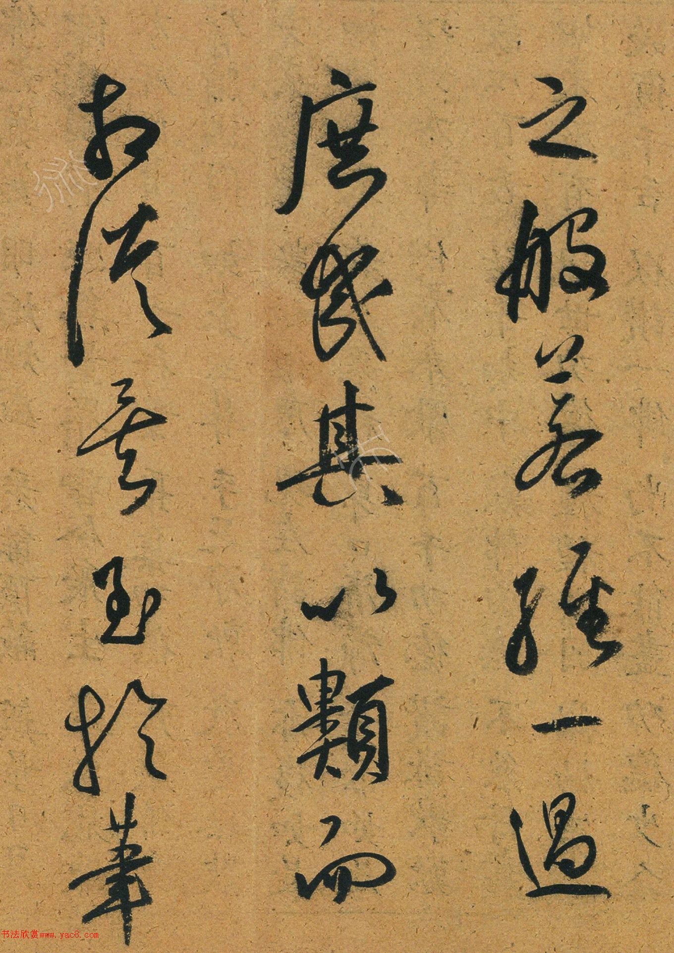 ף�������顶�������۶��ľ���