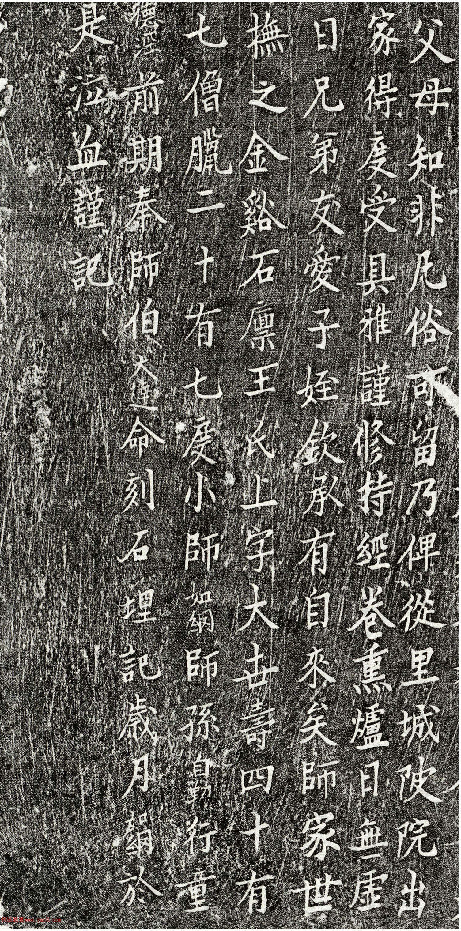 Ԫ�����顶�պ���������