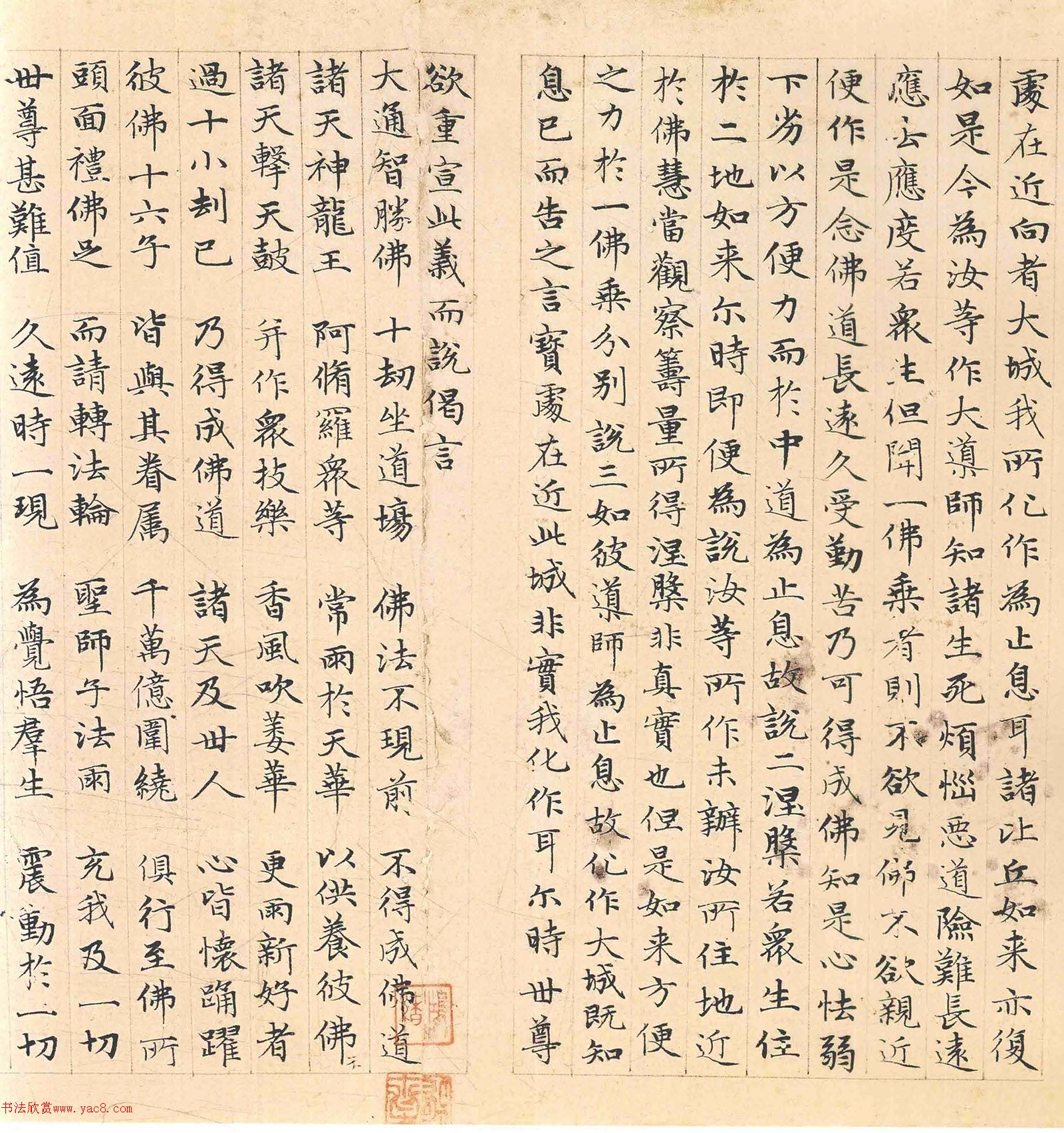 �����\���顶������������������