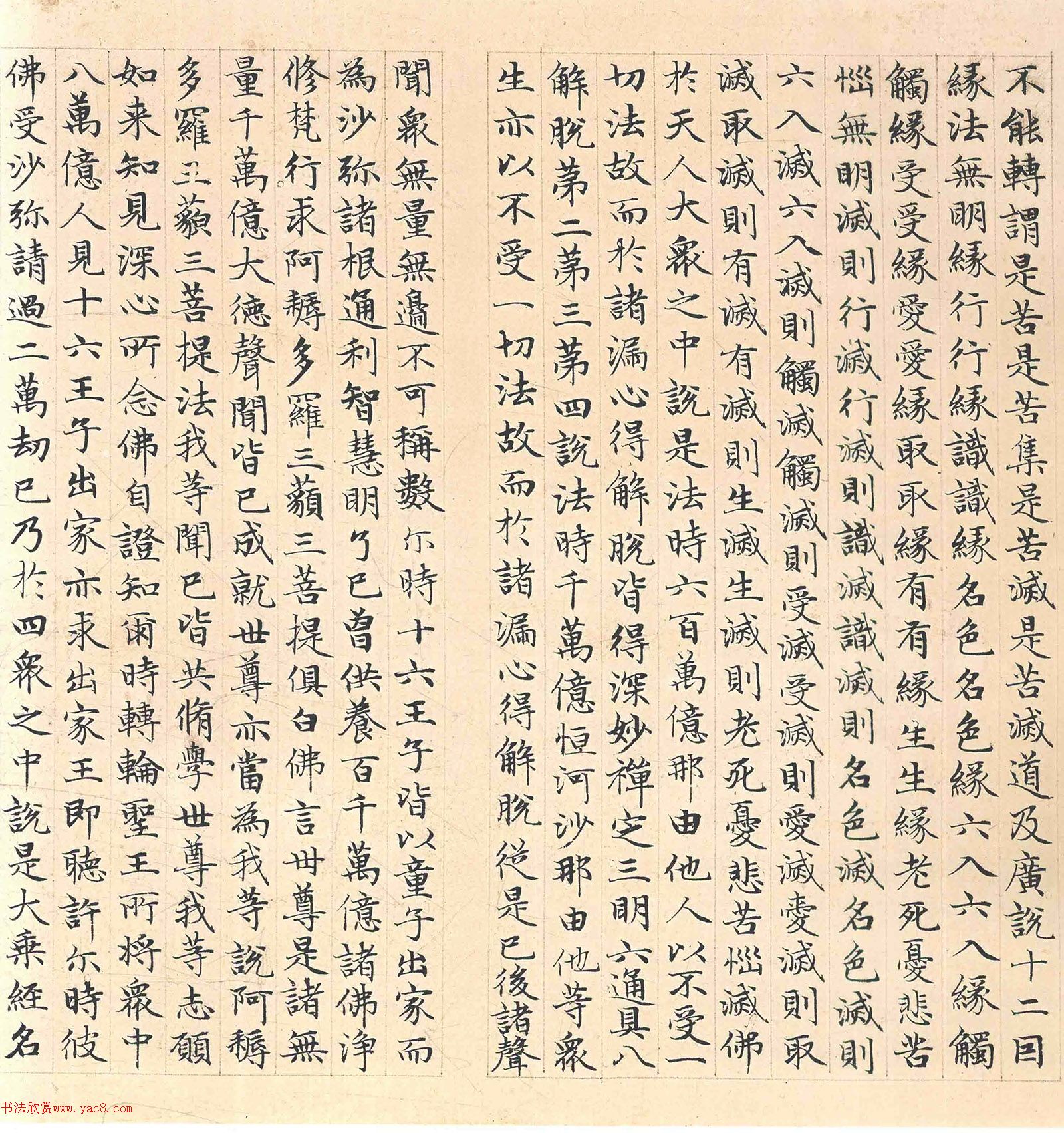 �����\���顶������������������