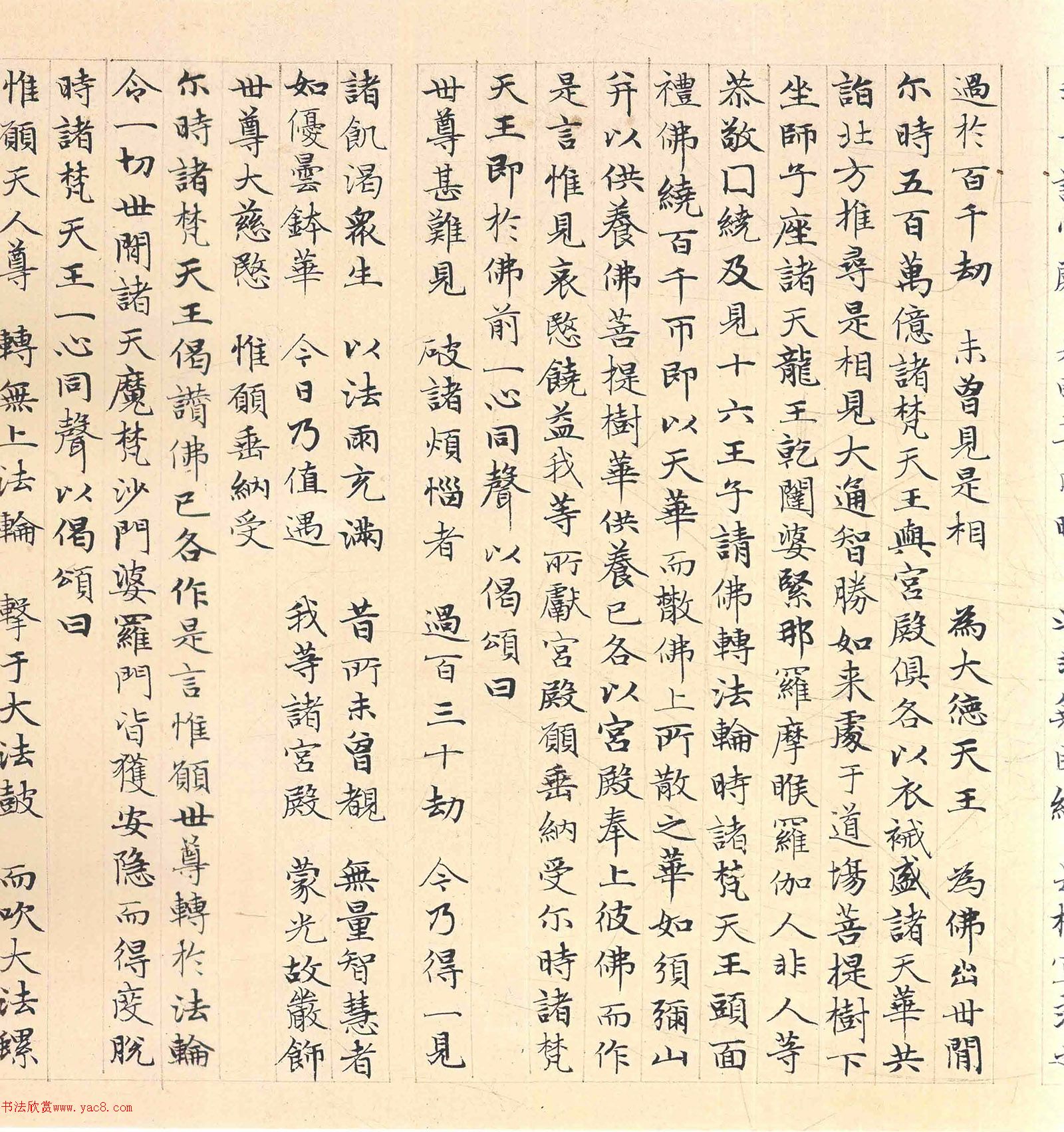 �����\���顶������������������