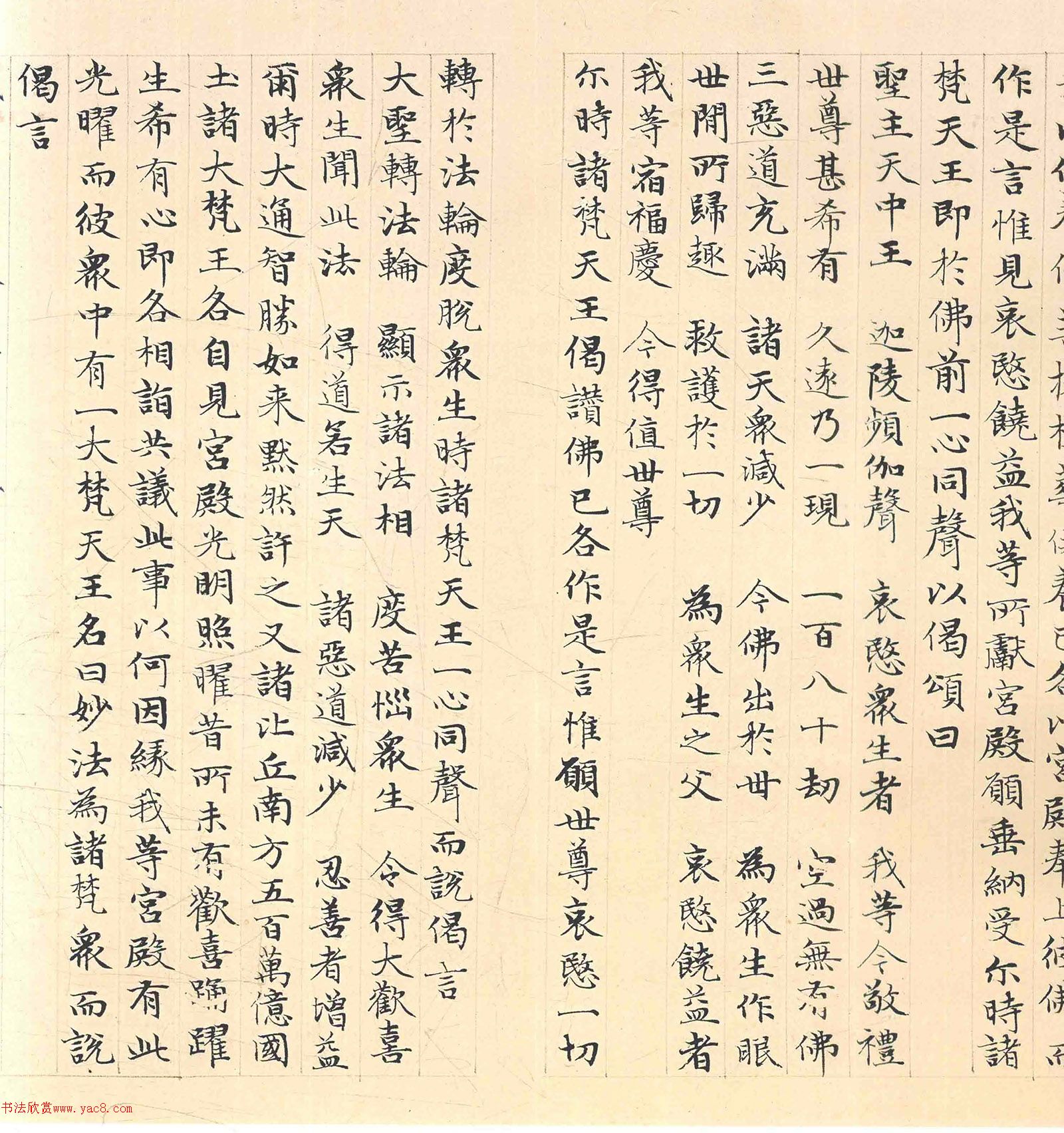 �����\���顶������������������