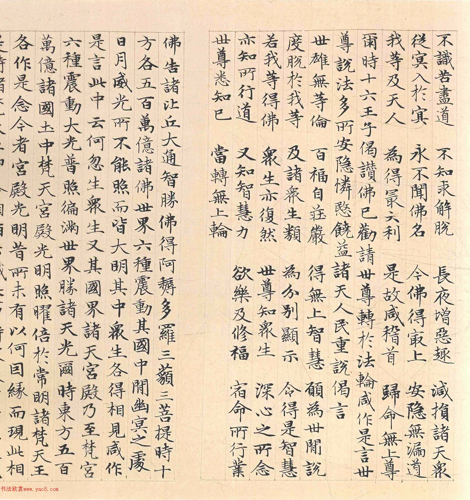 �����\���顶������������������