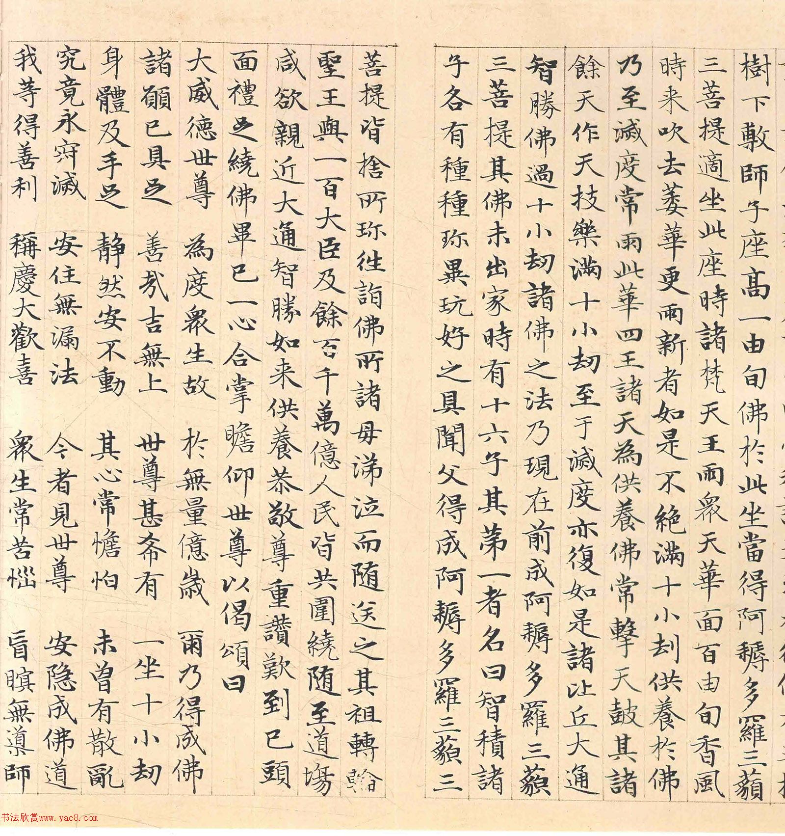 �����\���顶������������������