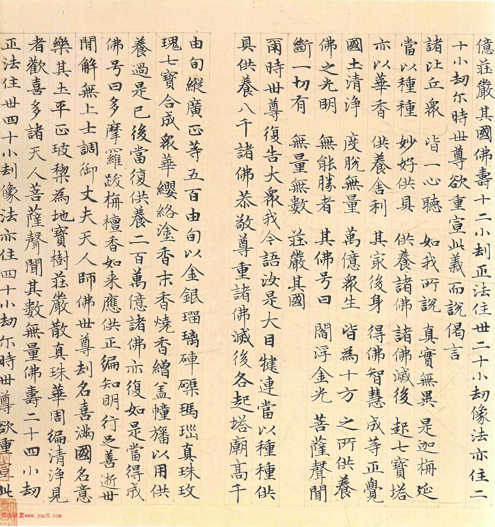 �����\���顶������������������