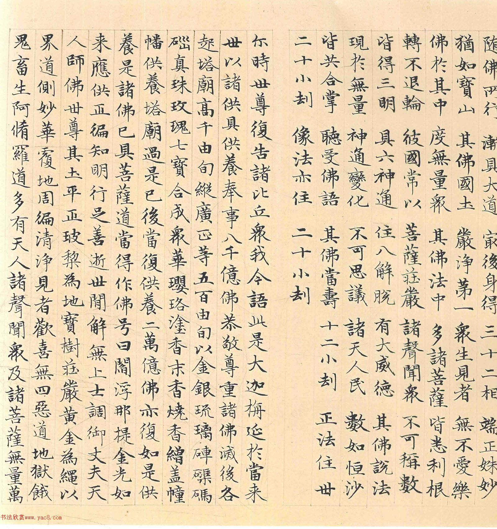 �����\���顶������������������