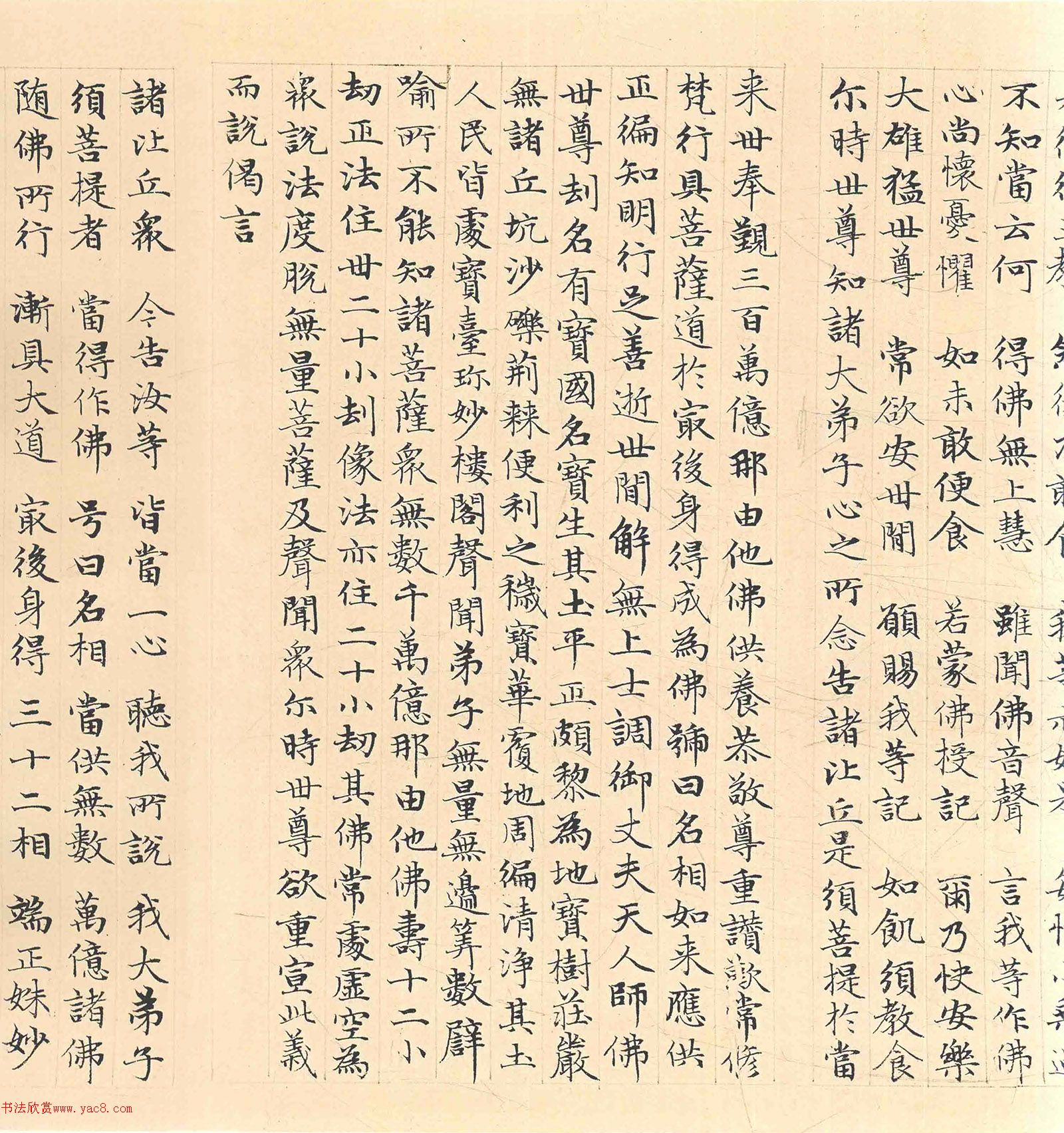 �����\���顶������������������