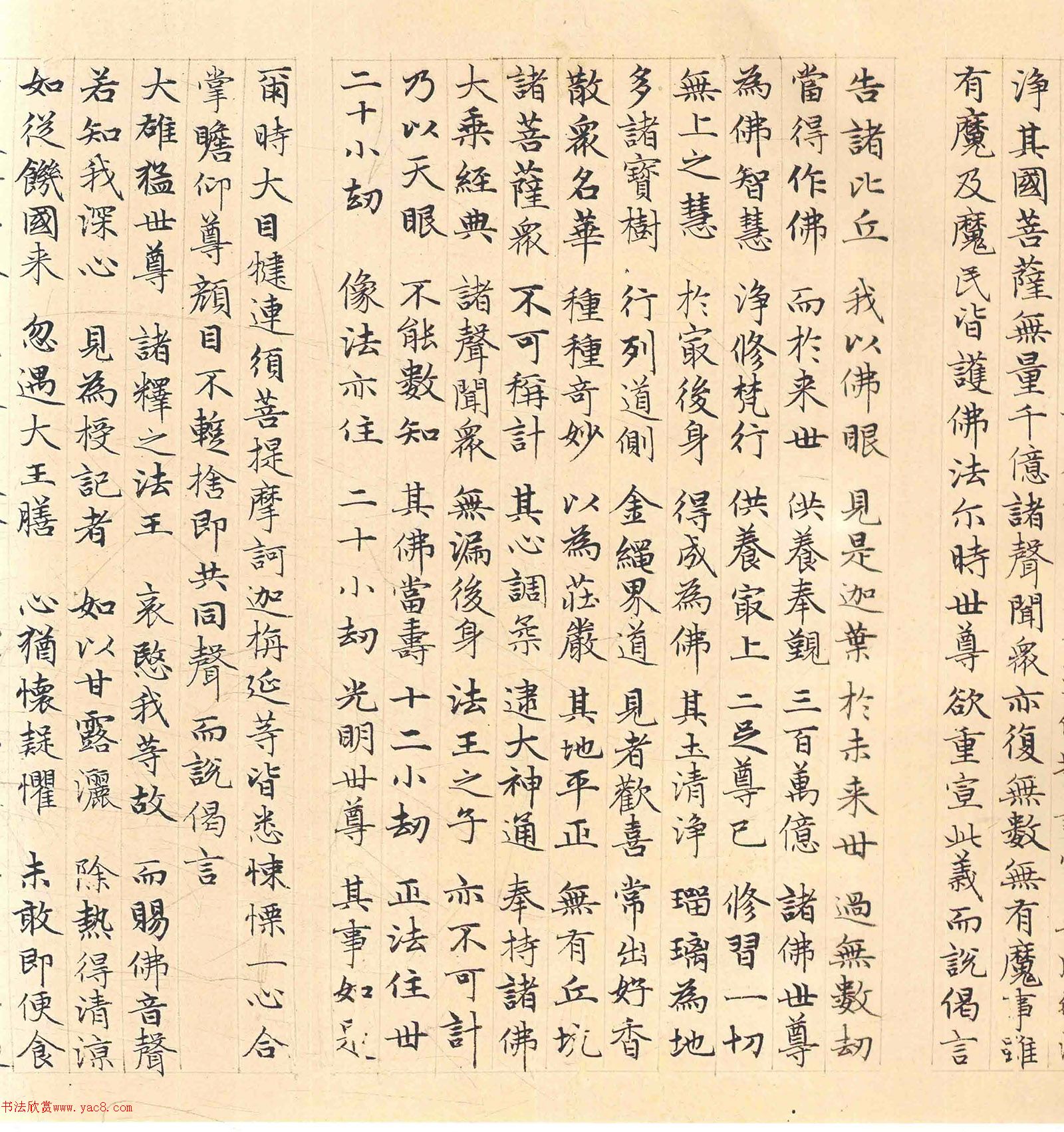 �����\���顶������������������