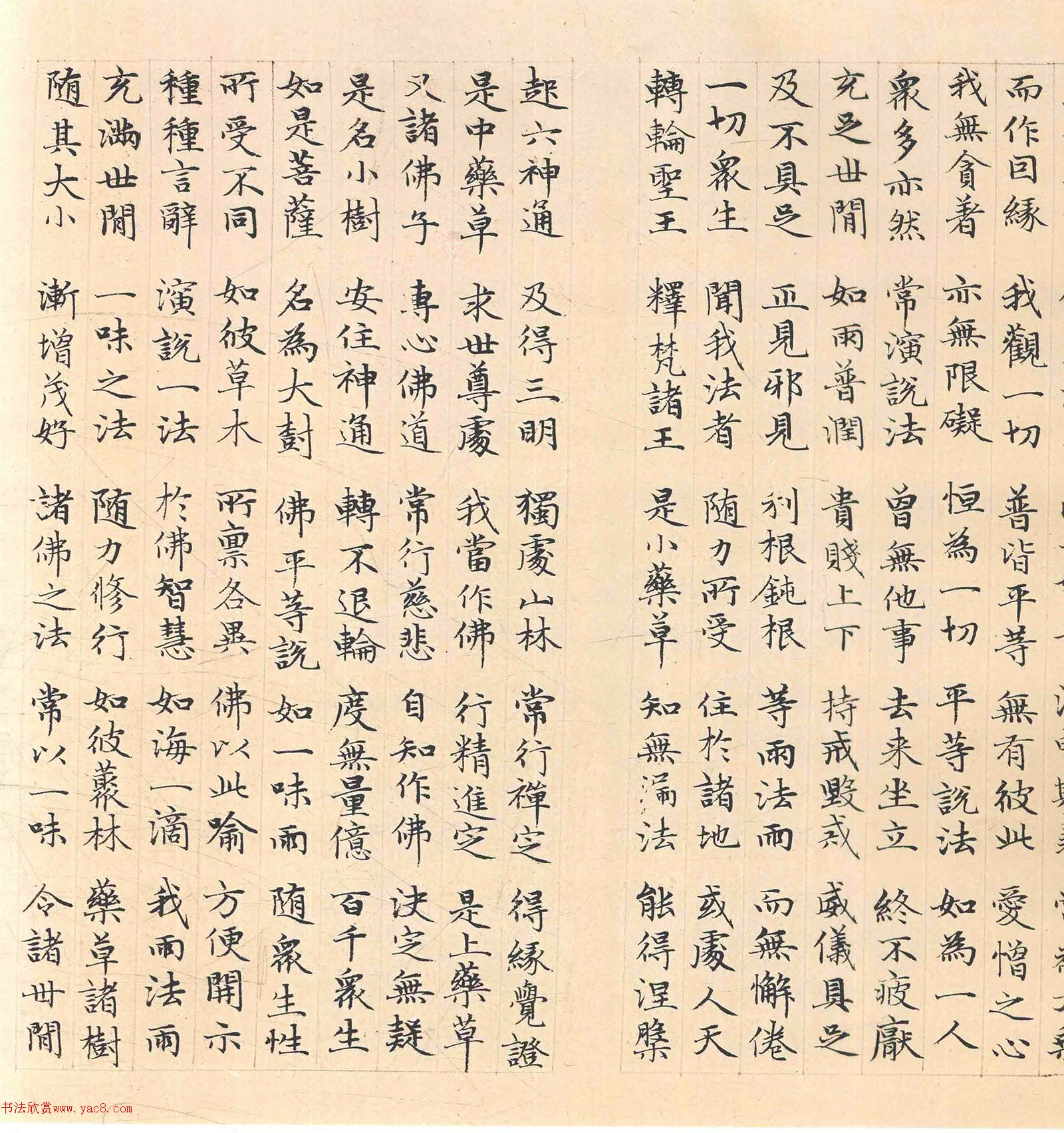 �����\���顶������������������