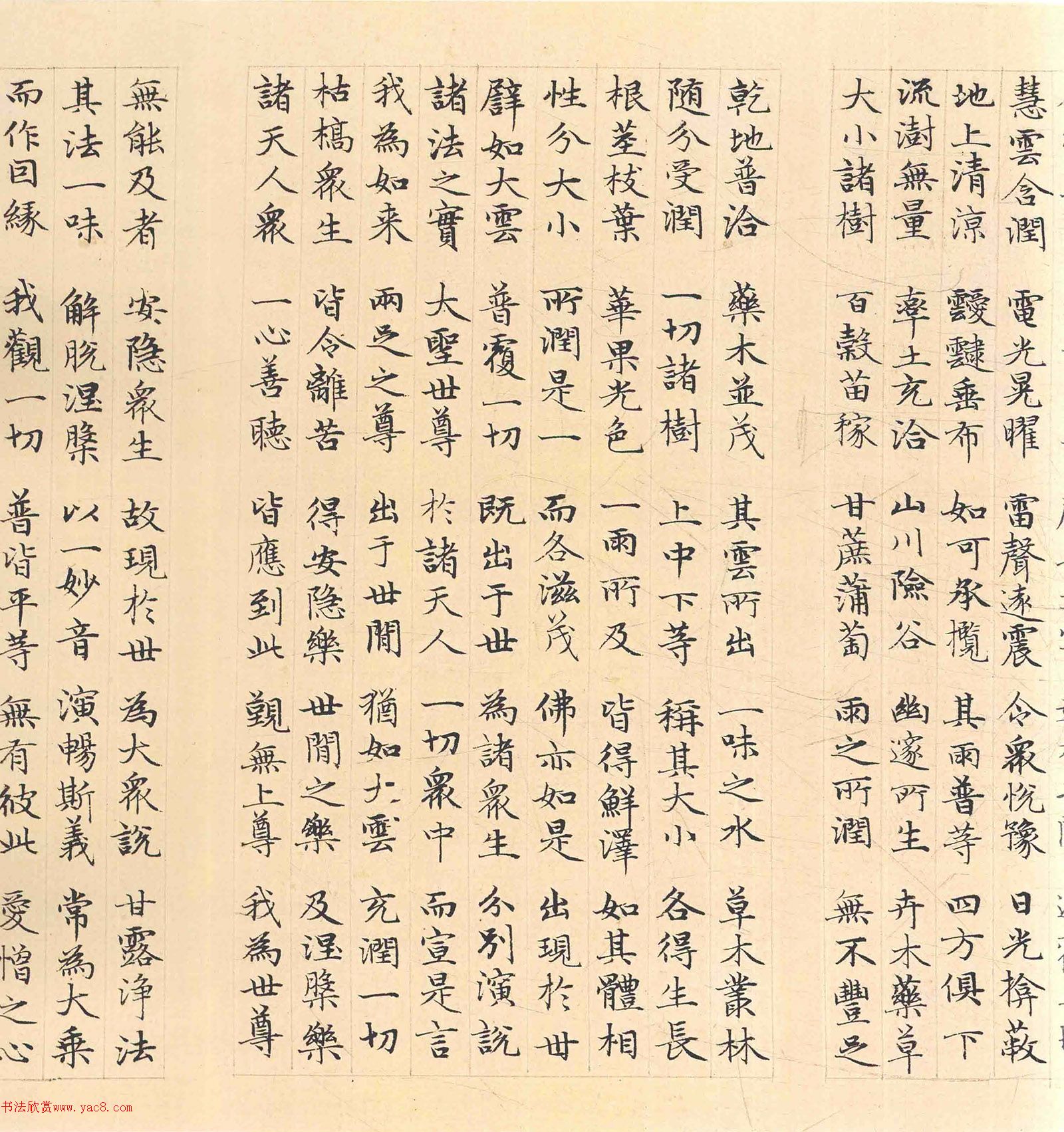 �����\���顶������������������