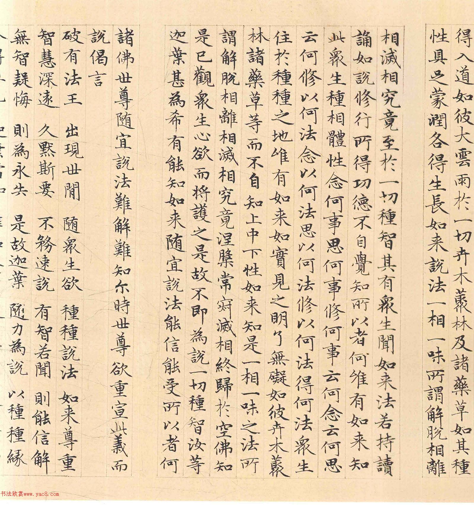 �����\���顶������������������