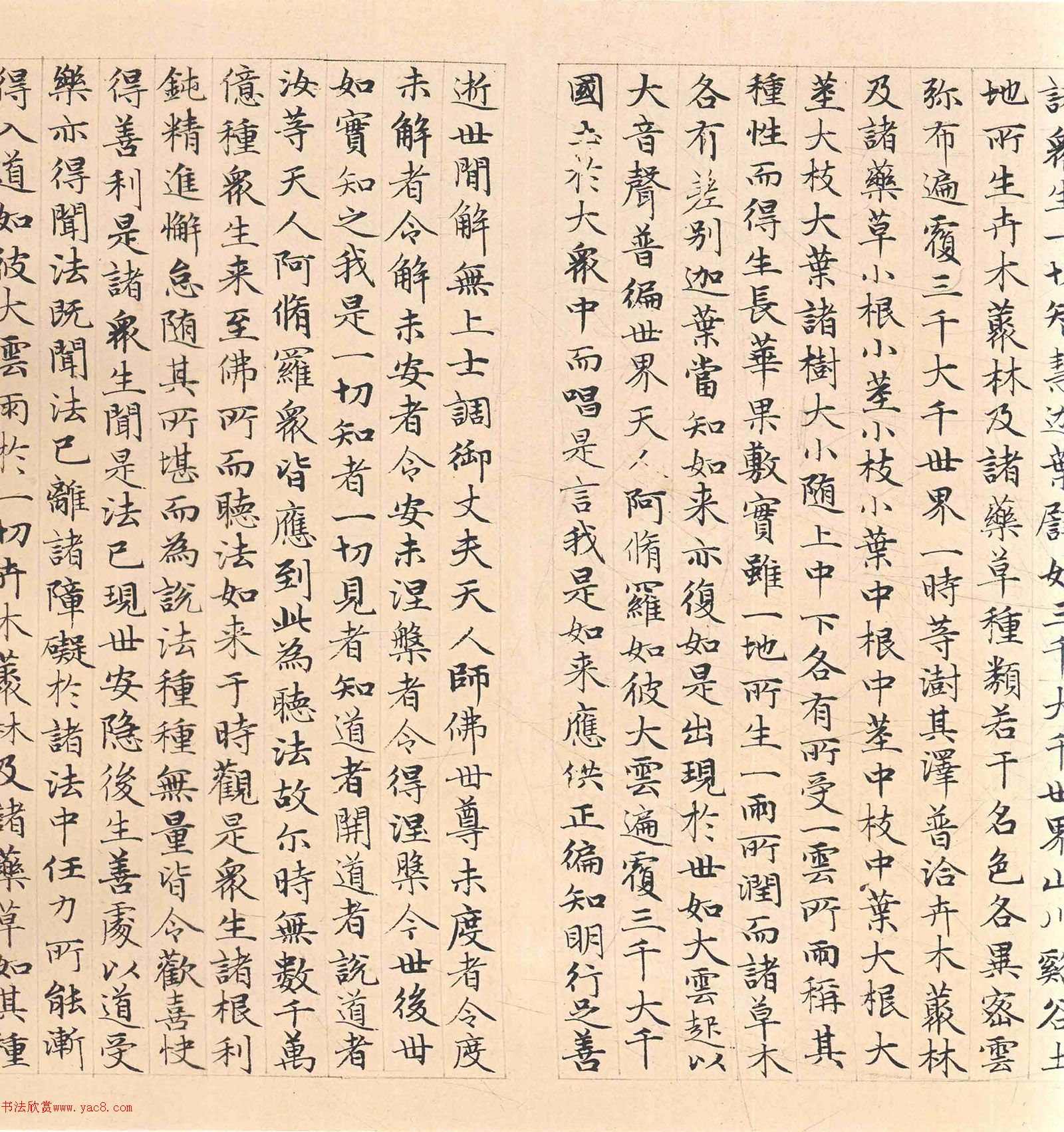 �����\���顶������������������