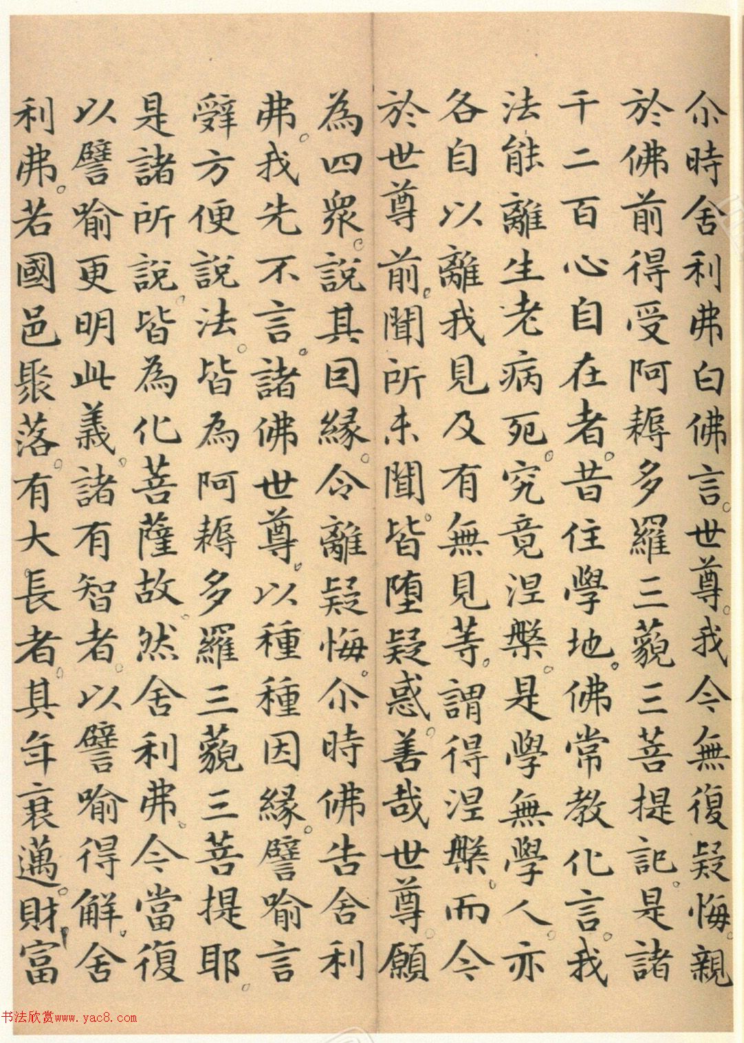 �����G���顶��������ᡷ���ڶ�