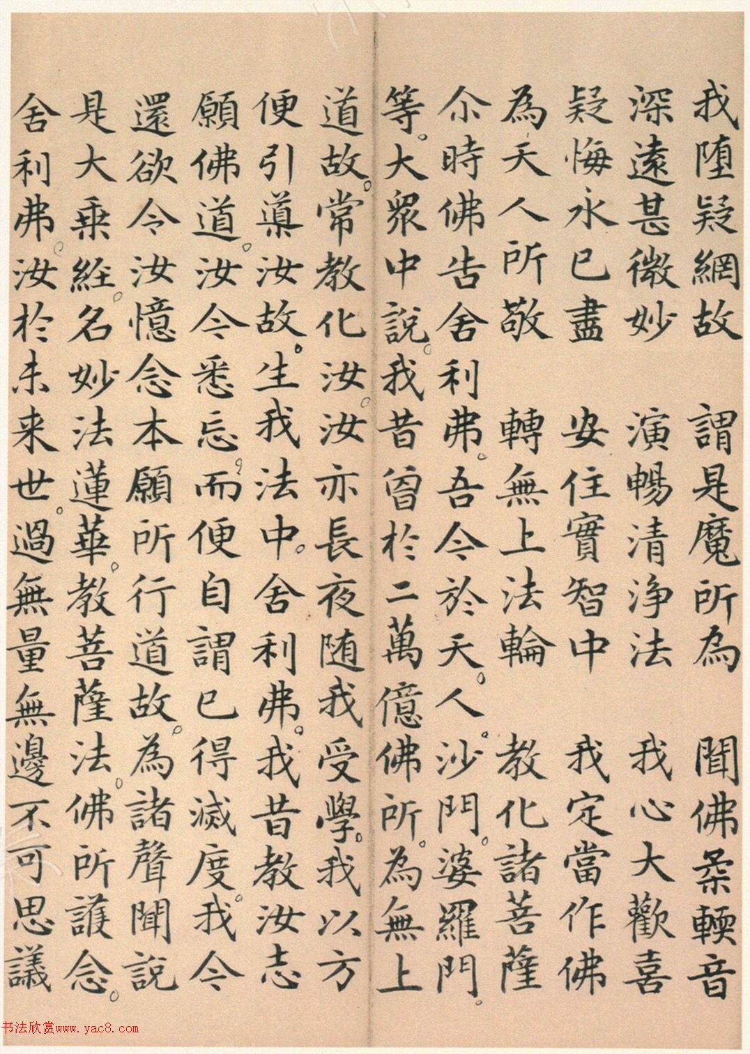 �����\���顶��������ᡷ���ڶ�