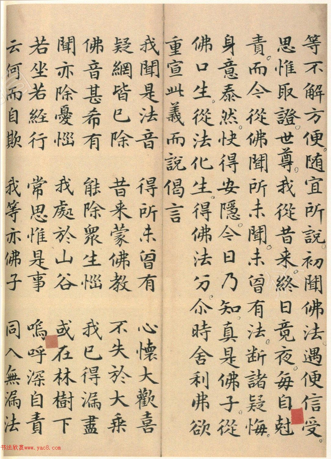 �����\���顶��������ᡷ���ڶ�