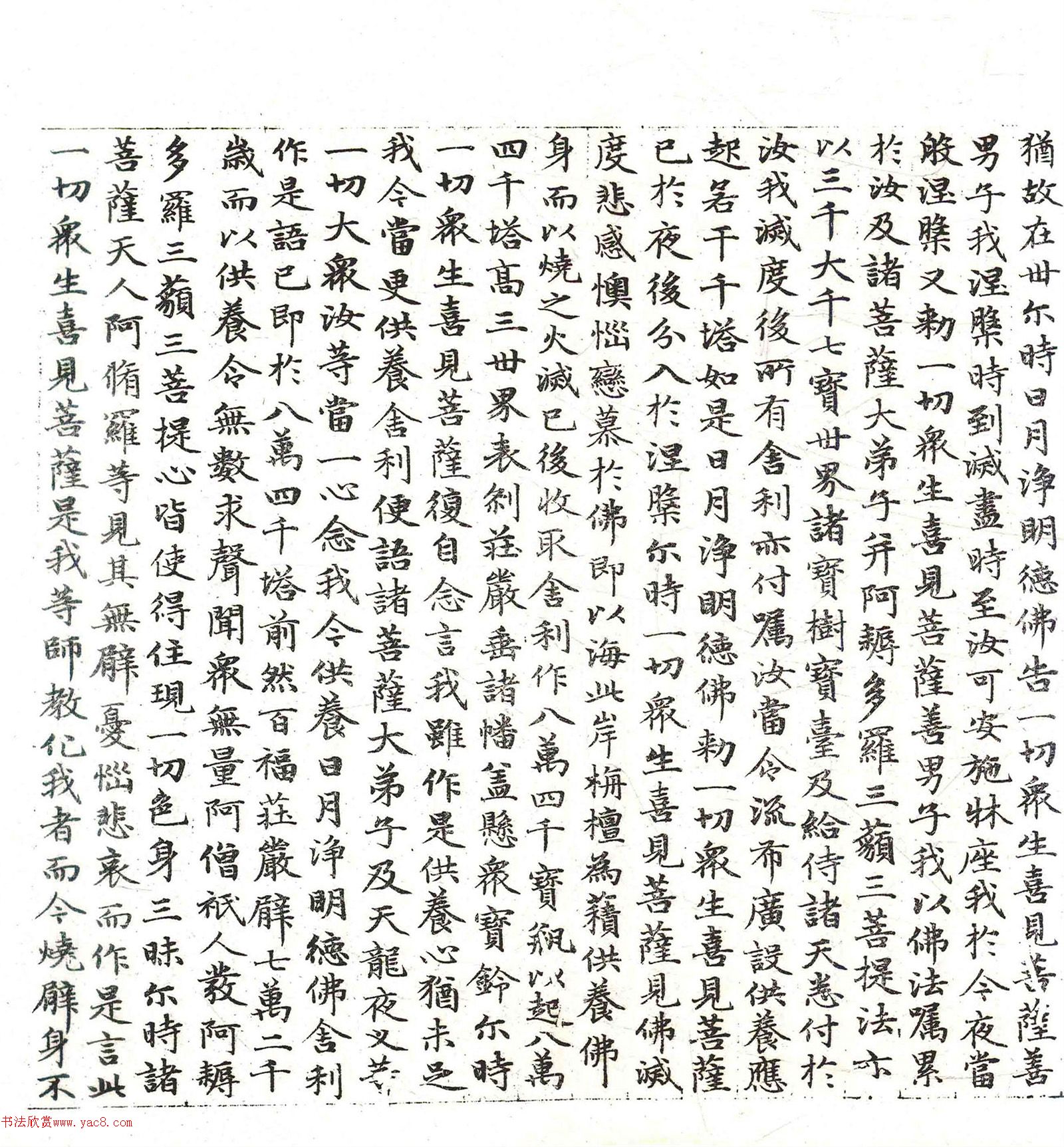 �����\���顶������������������