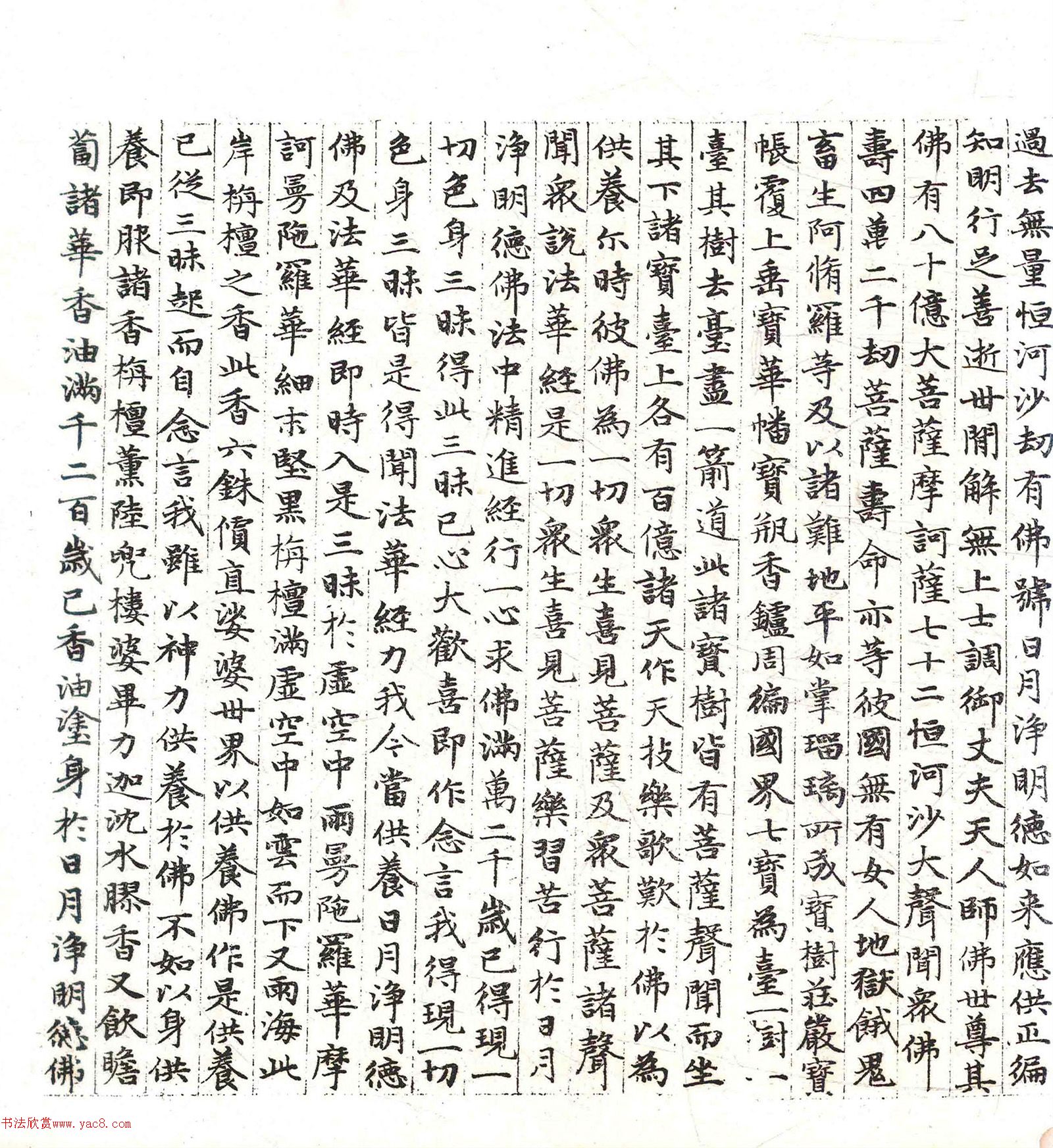 �����\���顶������������������