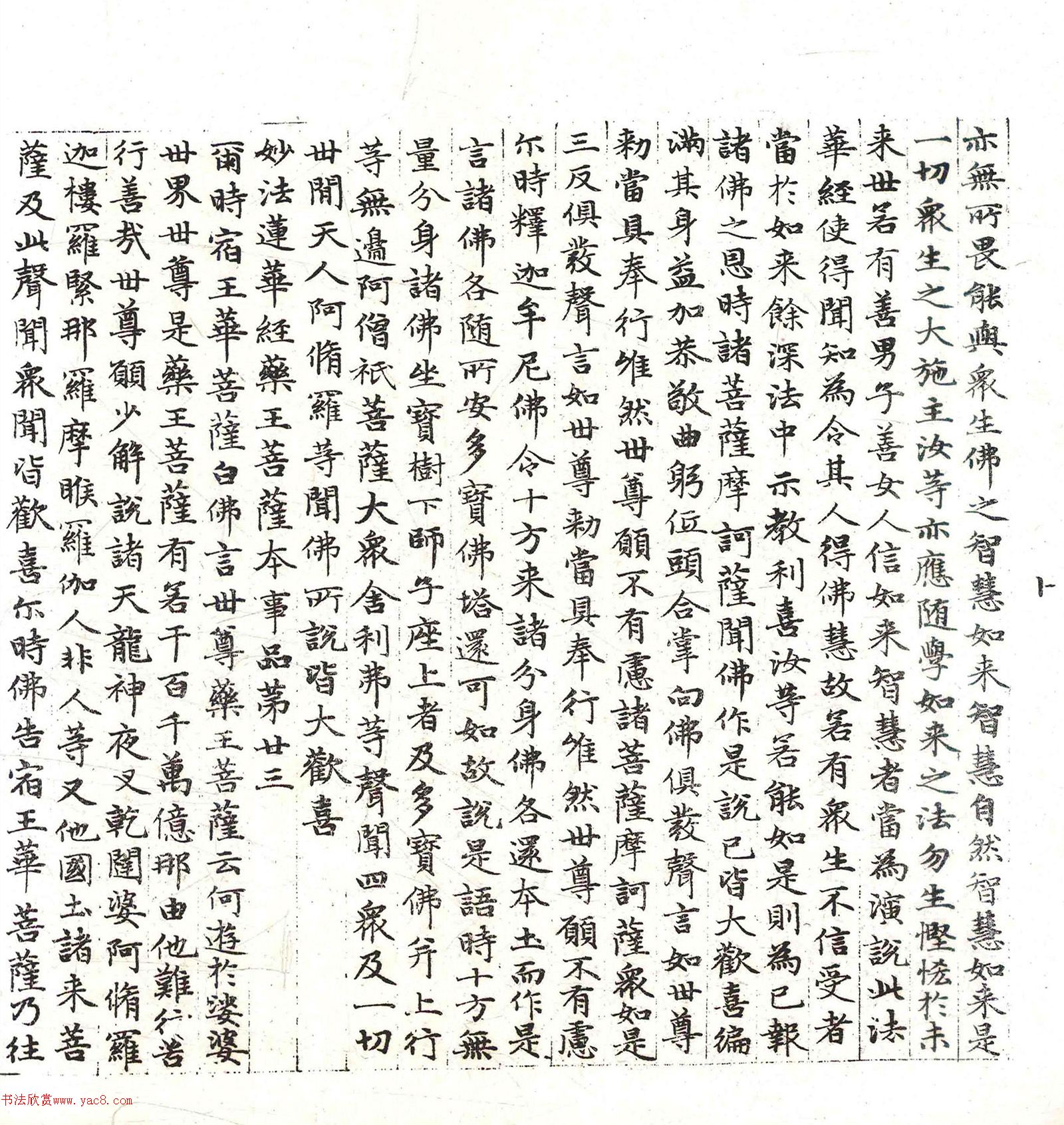 �����\���顶������������������