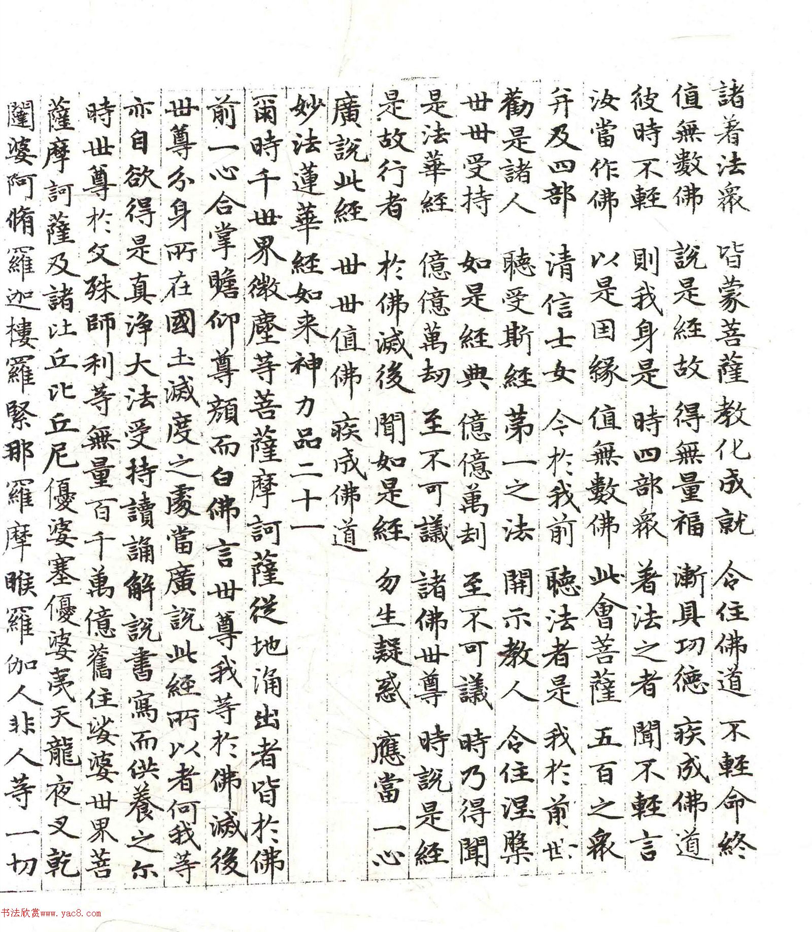�����\���顶������������������