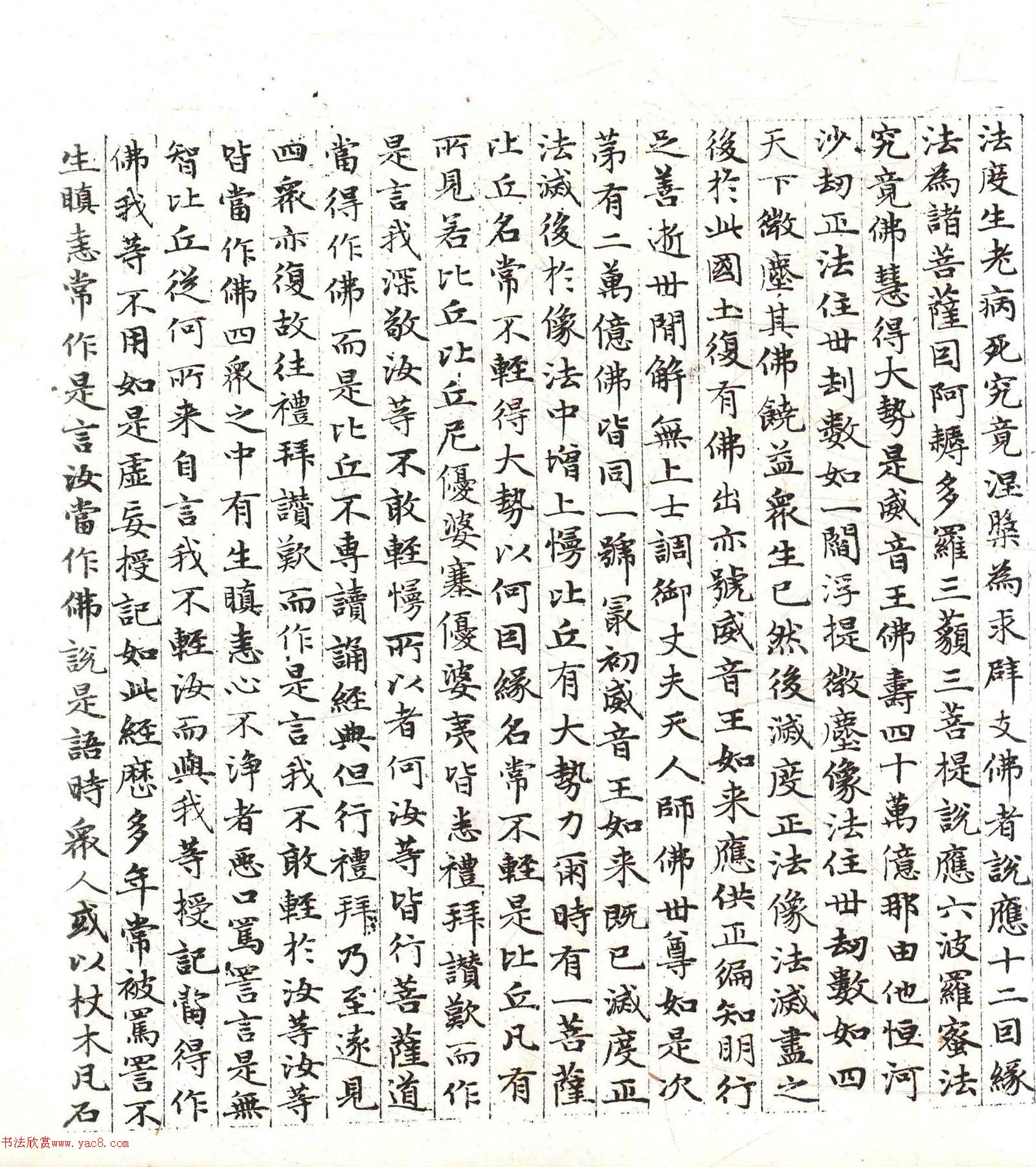 �����\���顶������������������