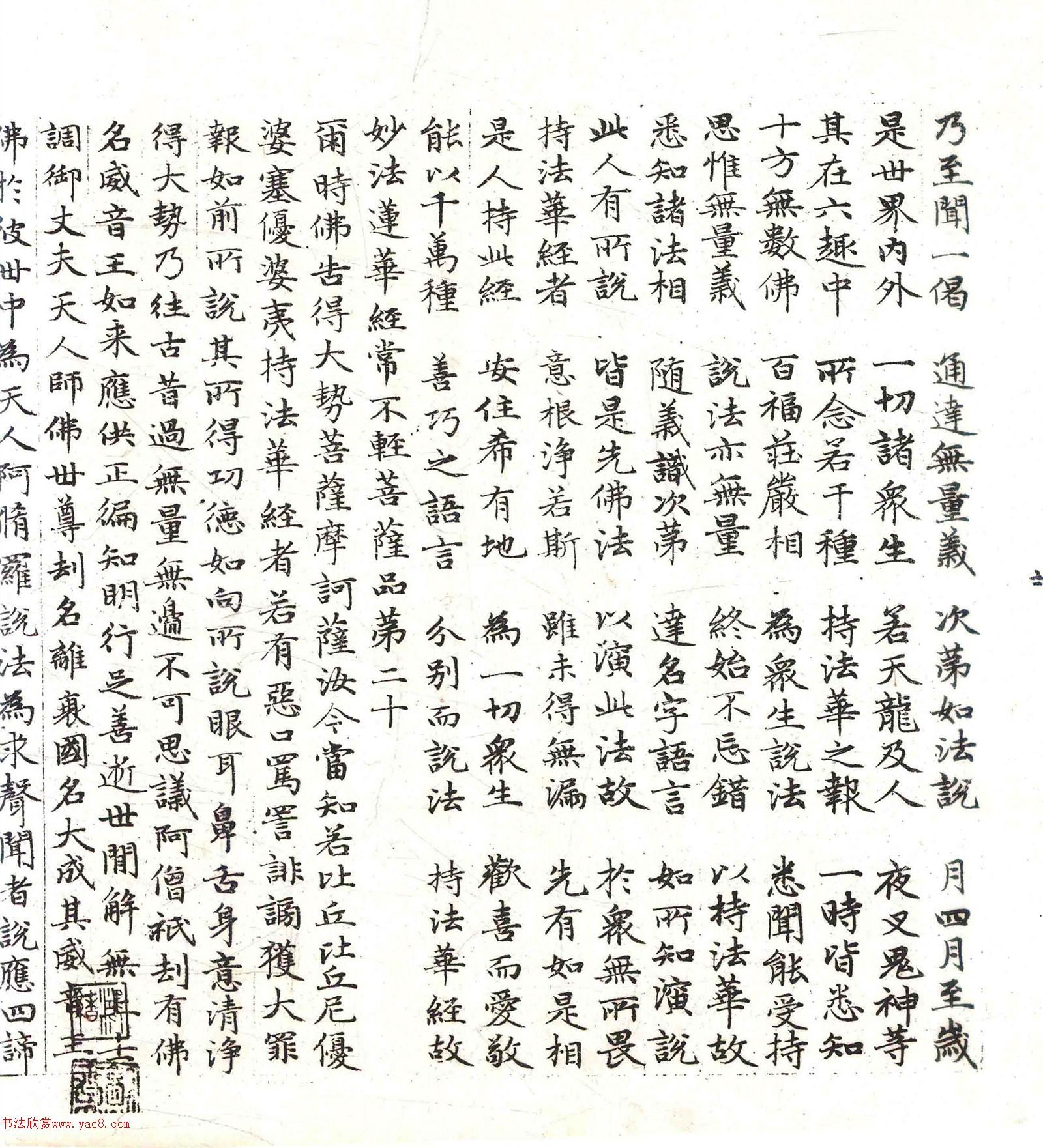 �����\���顶������������������