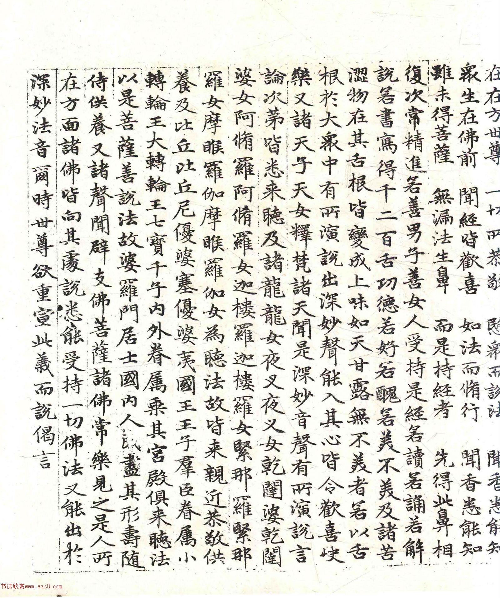 �����\���顶������������������