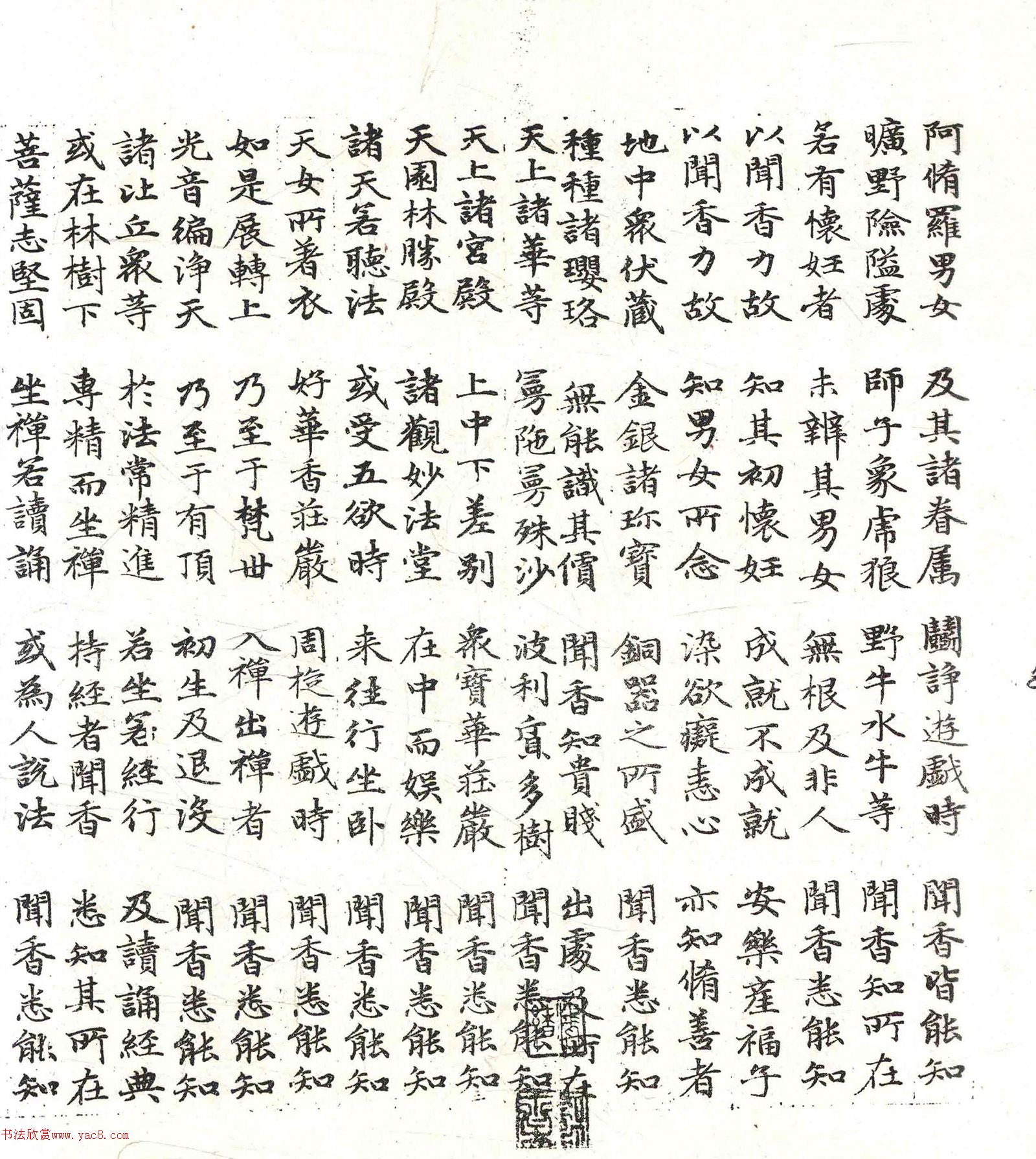 �����\���顶������������������