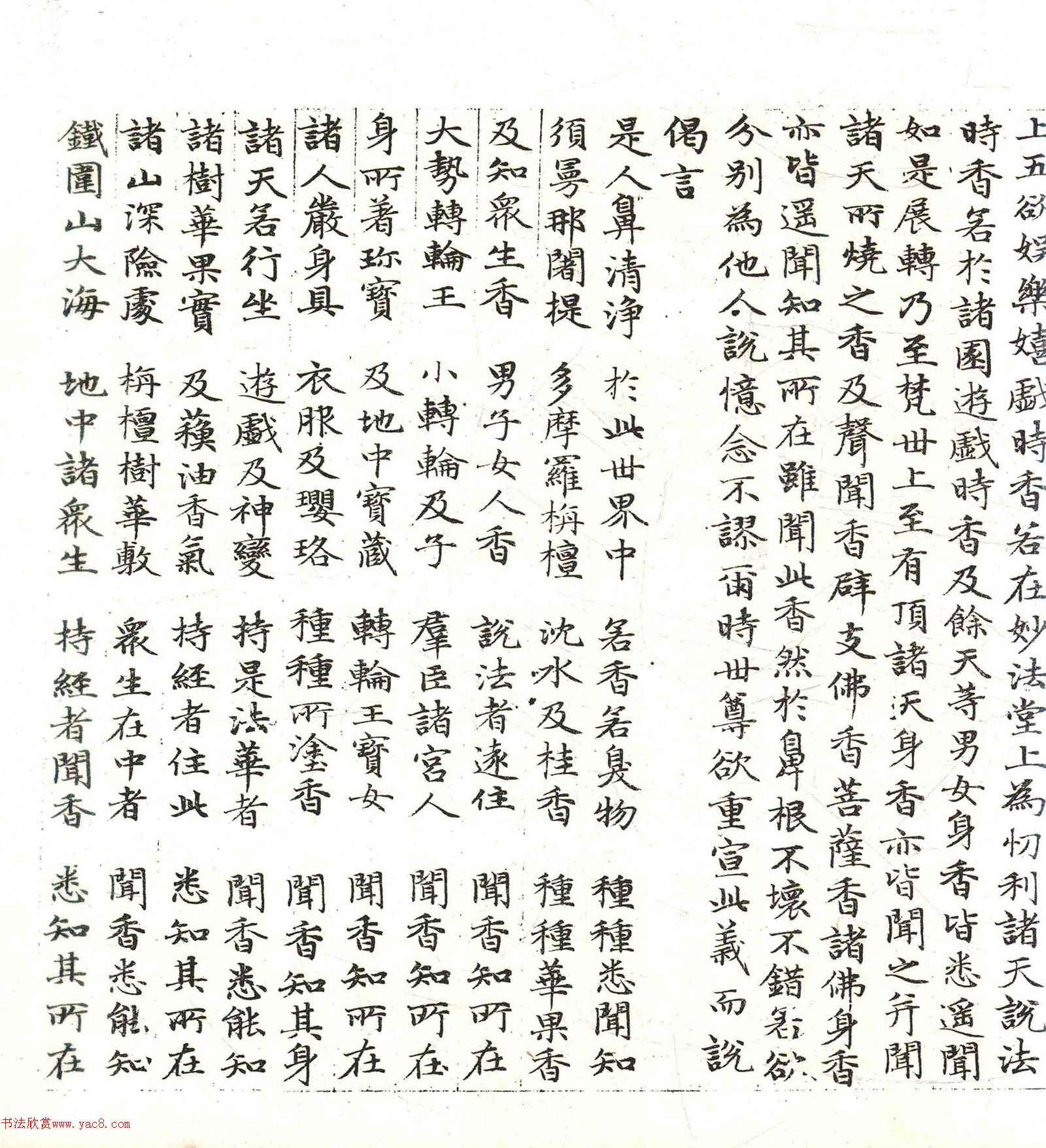 �����\���顶������������������