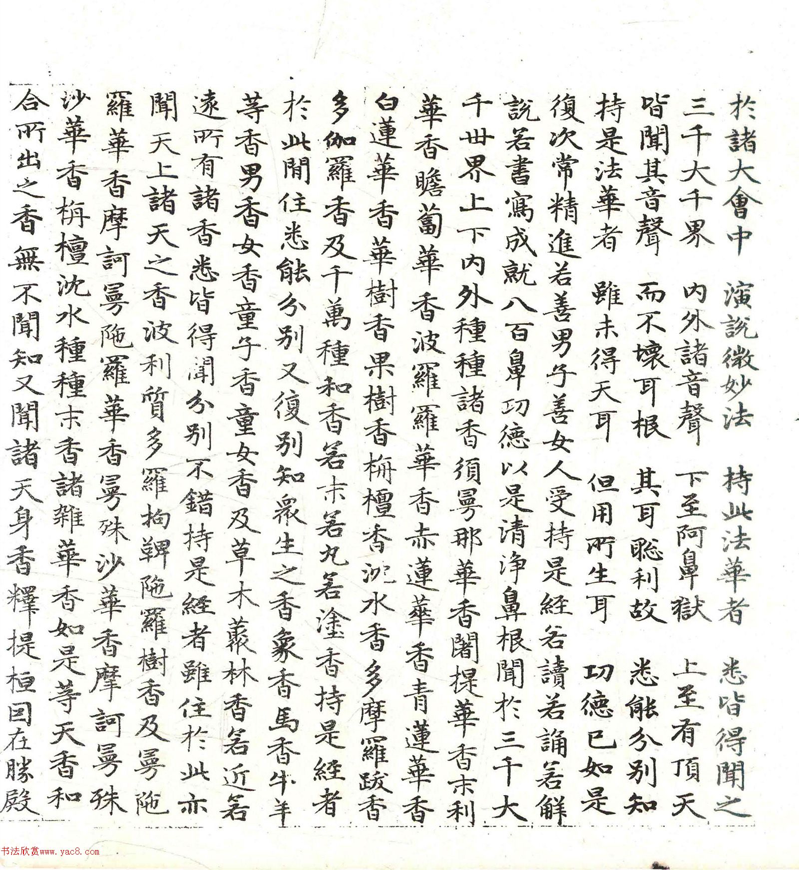 �����\���顶������������������