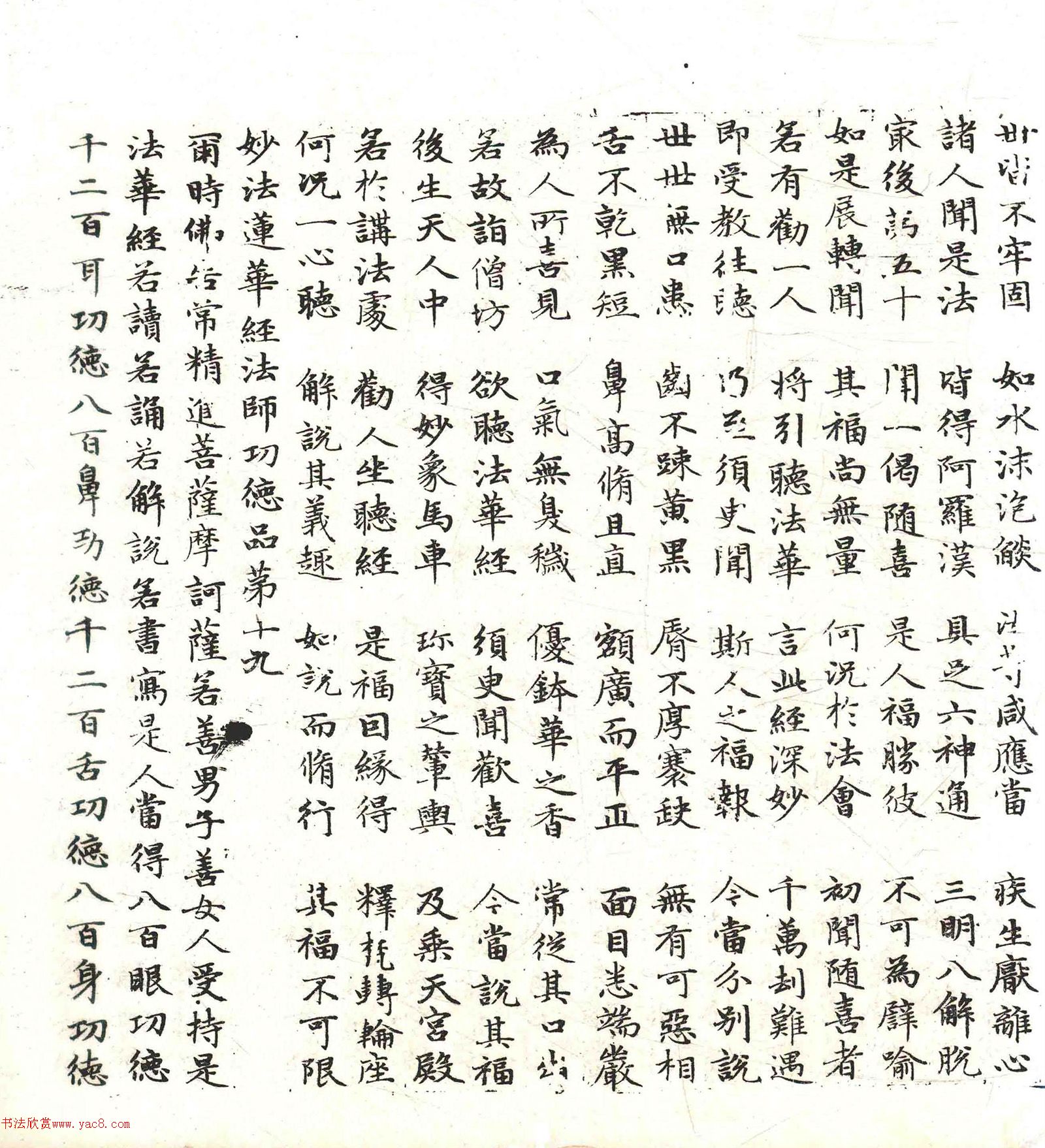 �����\���顶������������������