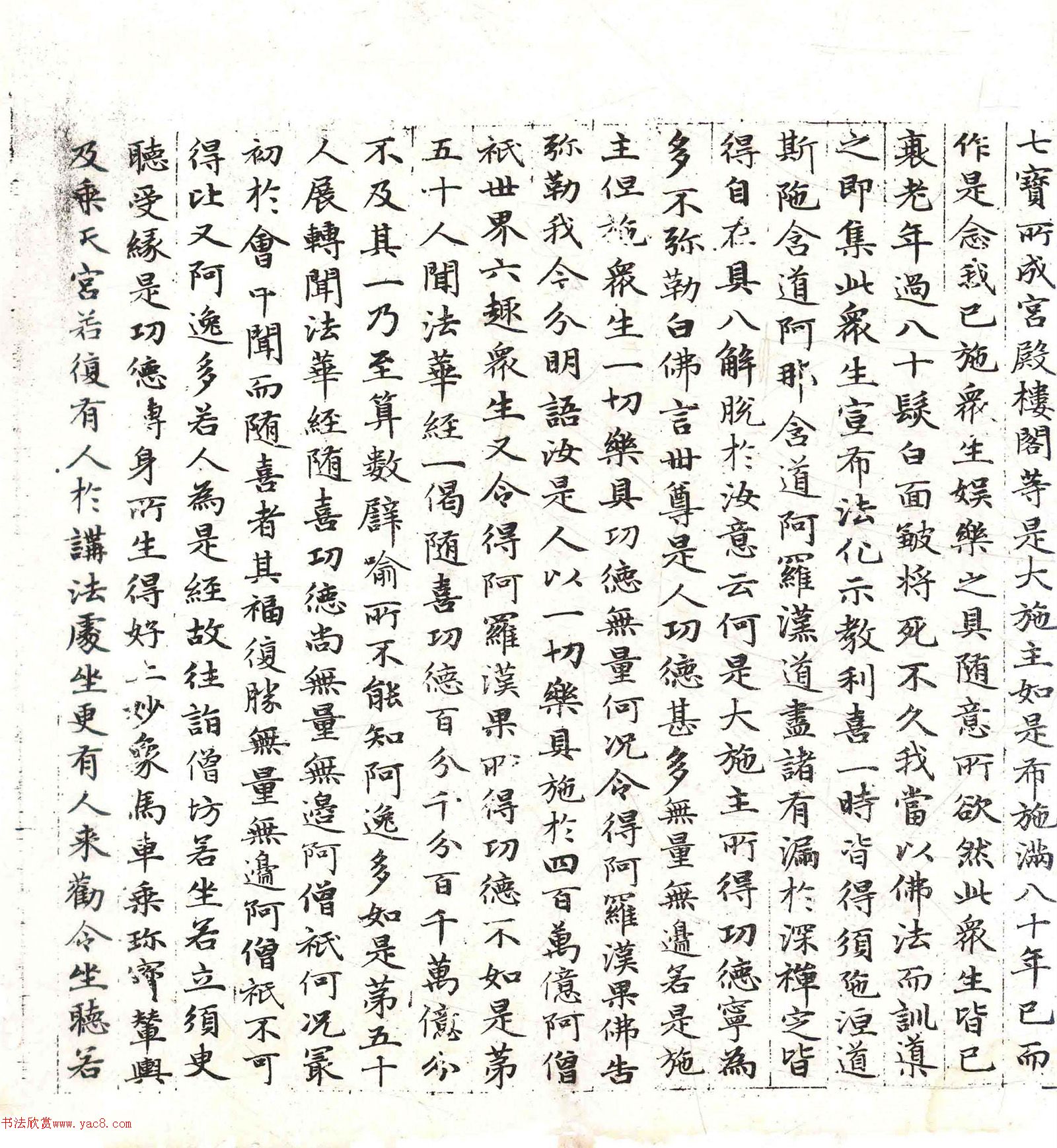 �����\���顶������������������