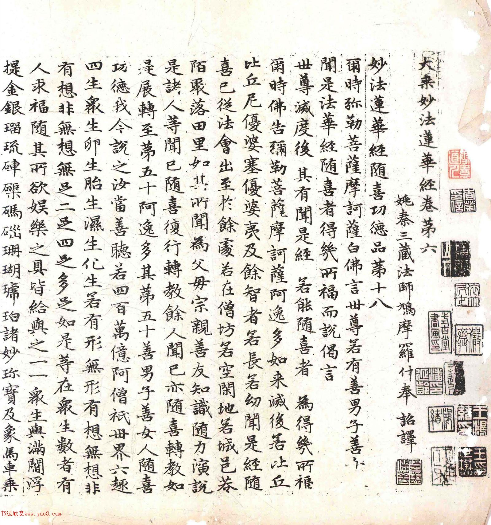 �����\���顶������������������