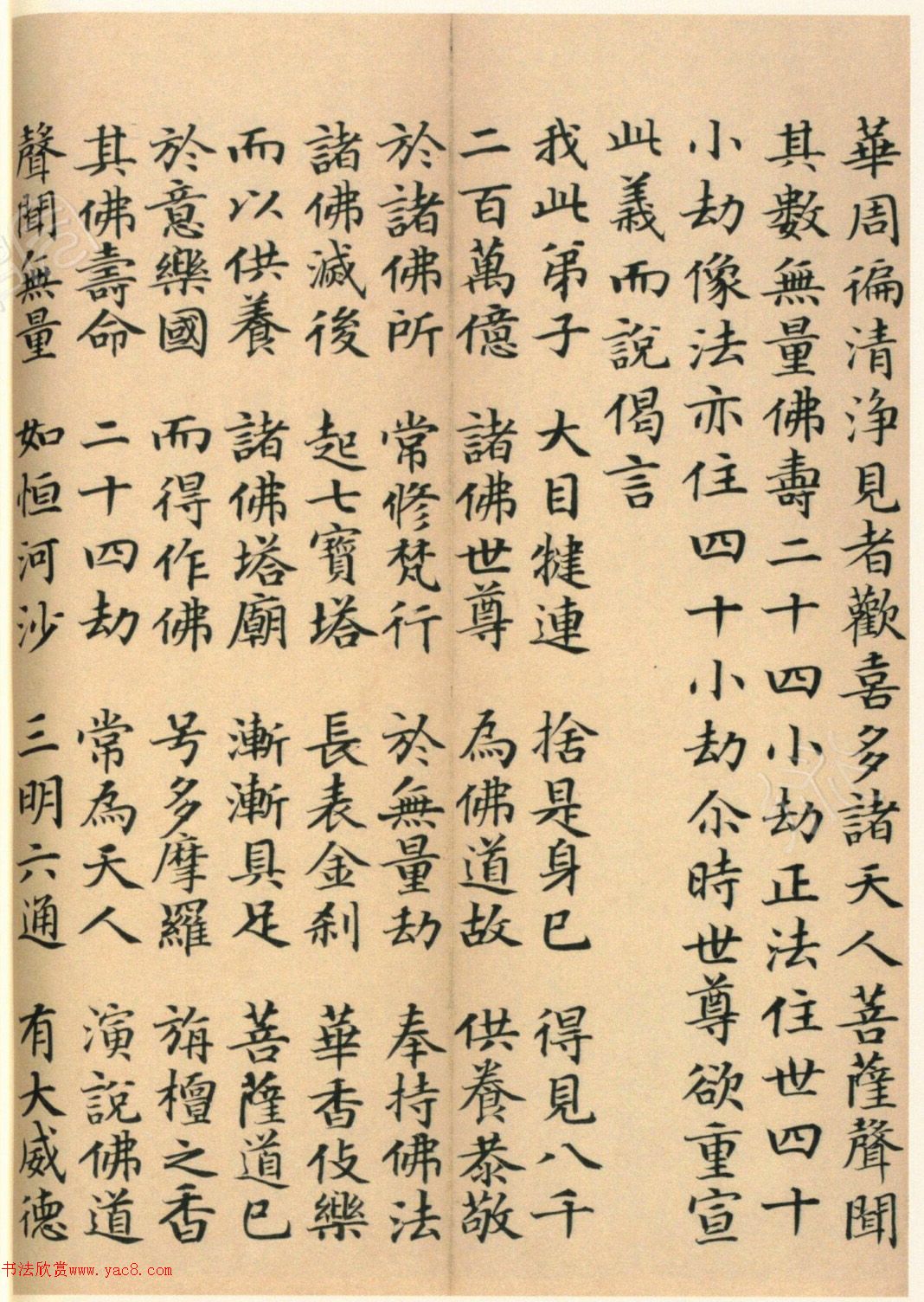 �����G���顶��������ᡷ����