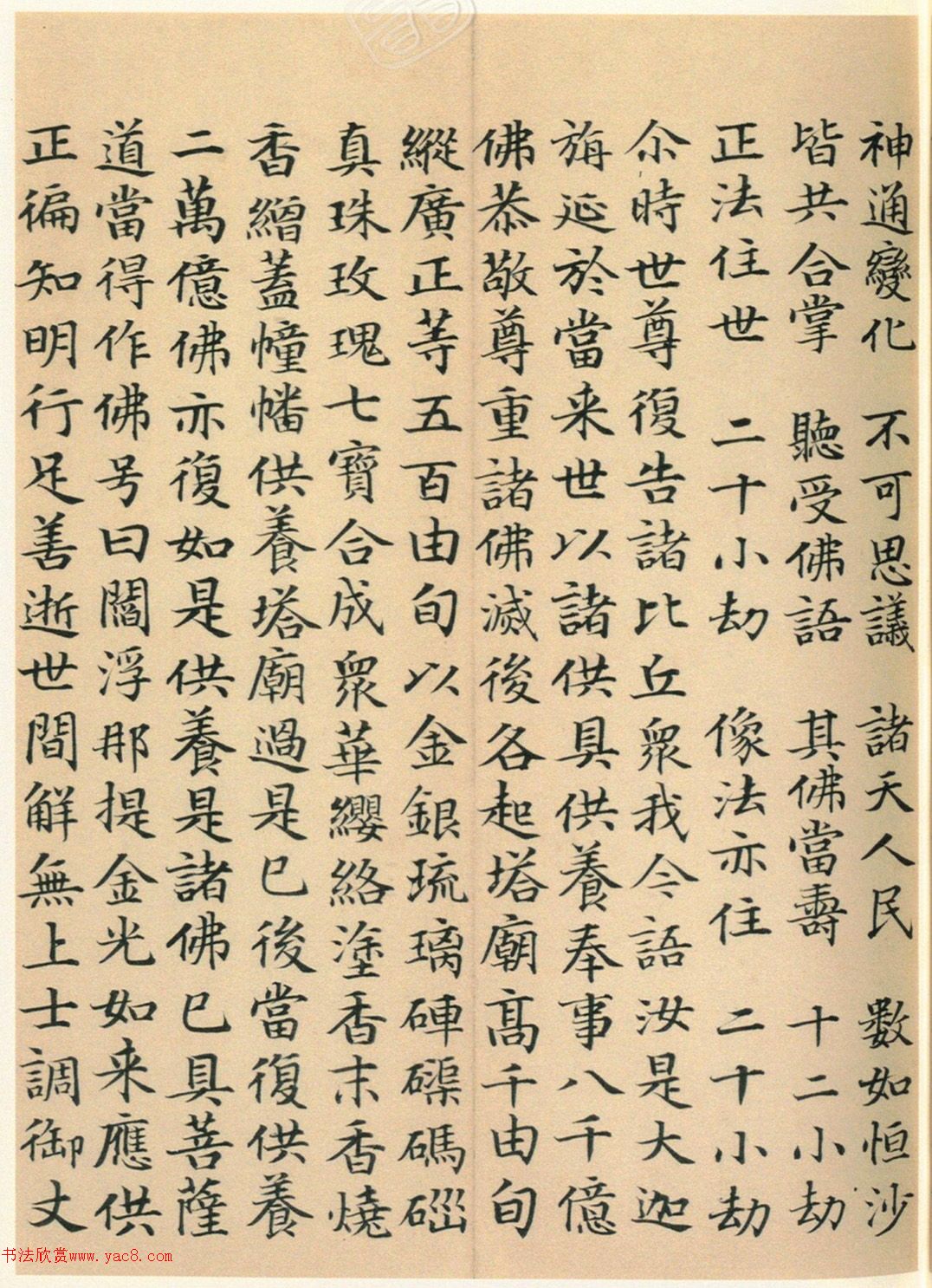 �����G���顶��������ᡷ����