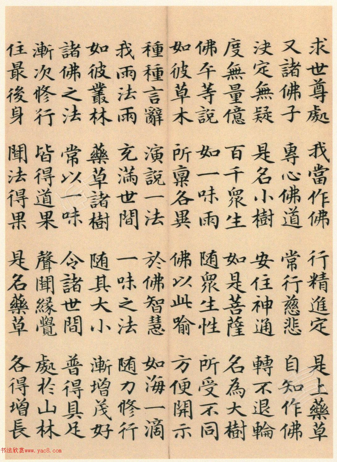 �����G���顶��������ᡷ����