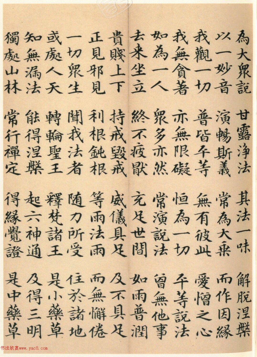 �����G���顶��������ᡷ����