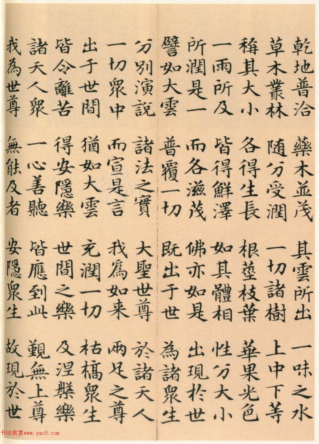 �����G���顶��������ᡷ����