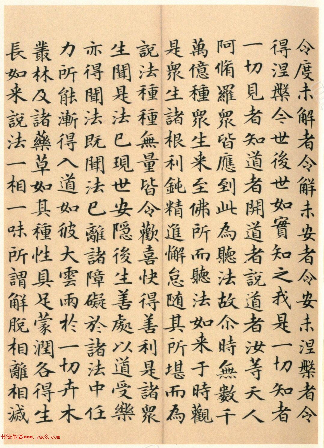 �����G���顶��������ᡷ����